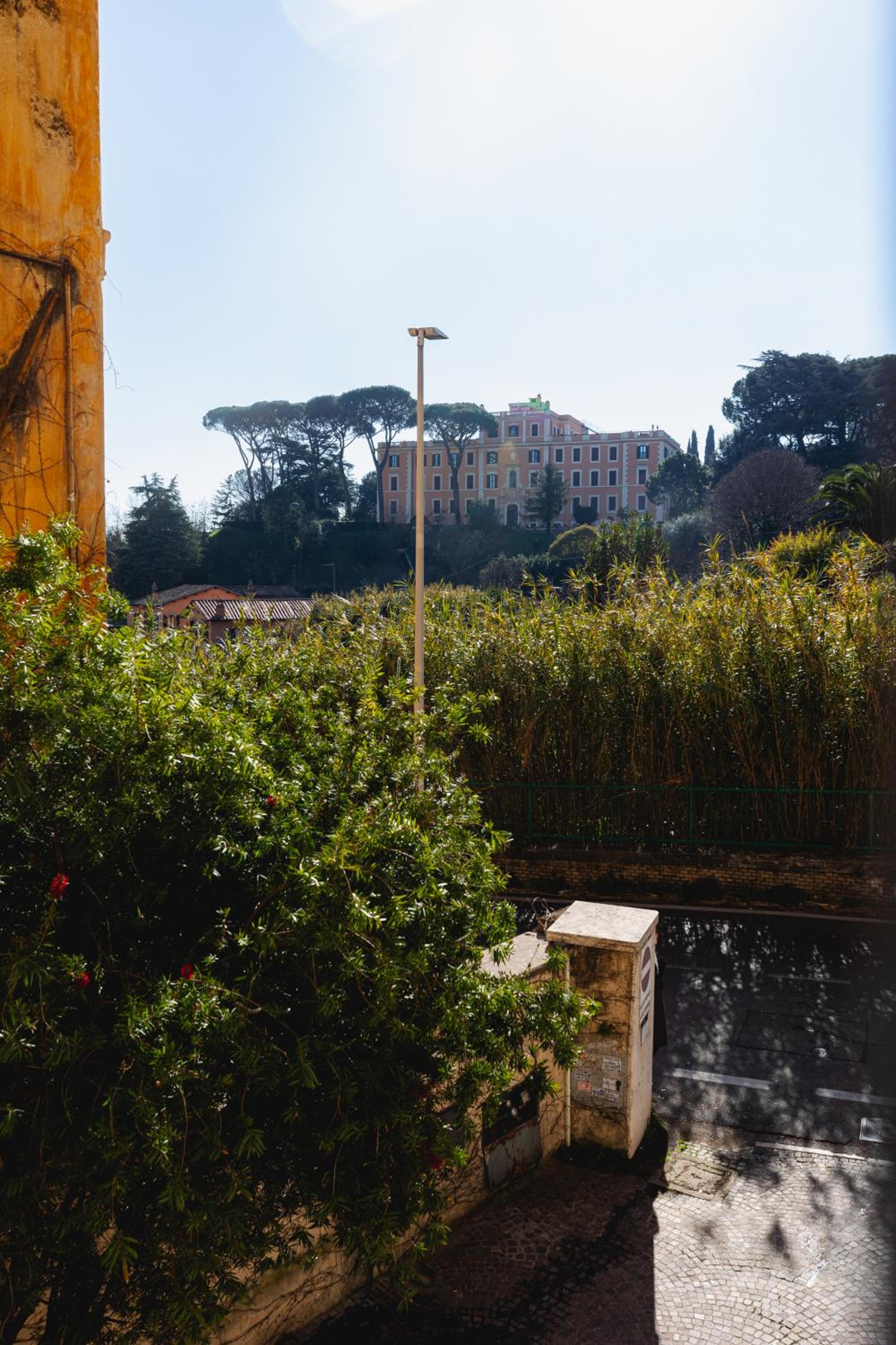 Domus Vaticana