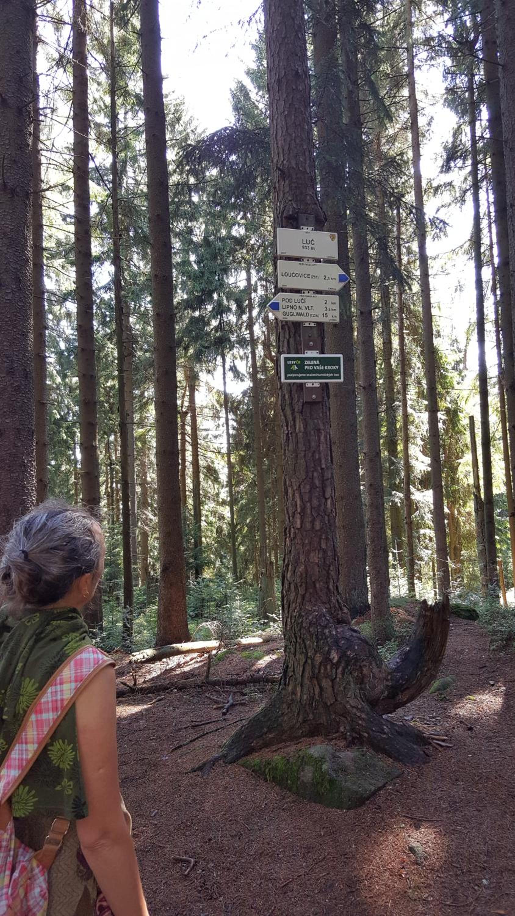 Apartmán Kienberg pod Lipenskou hrází