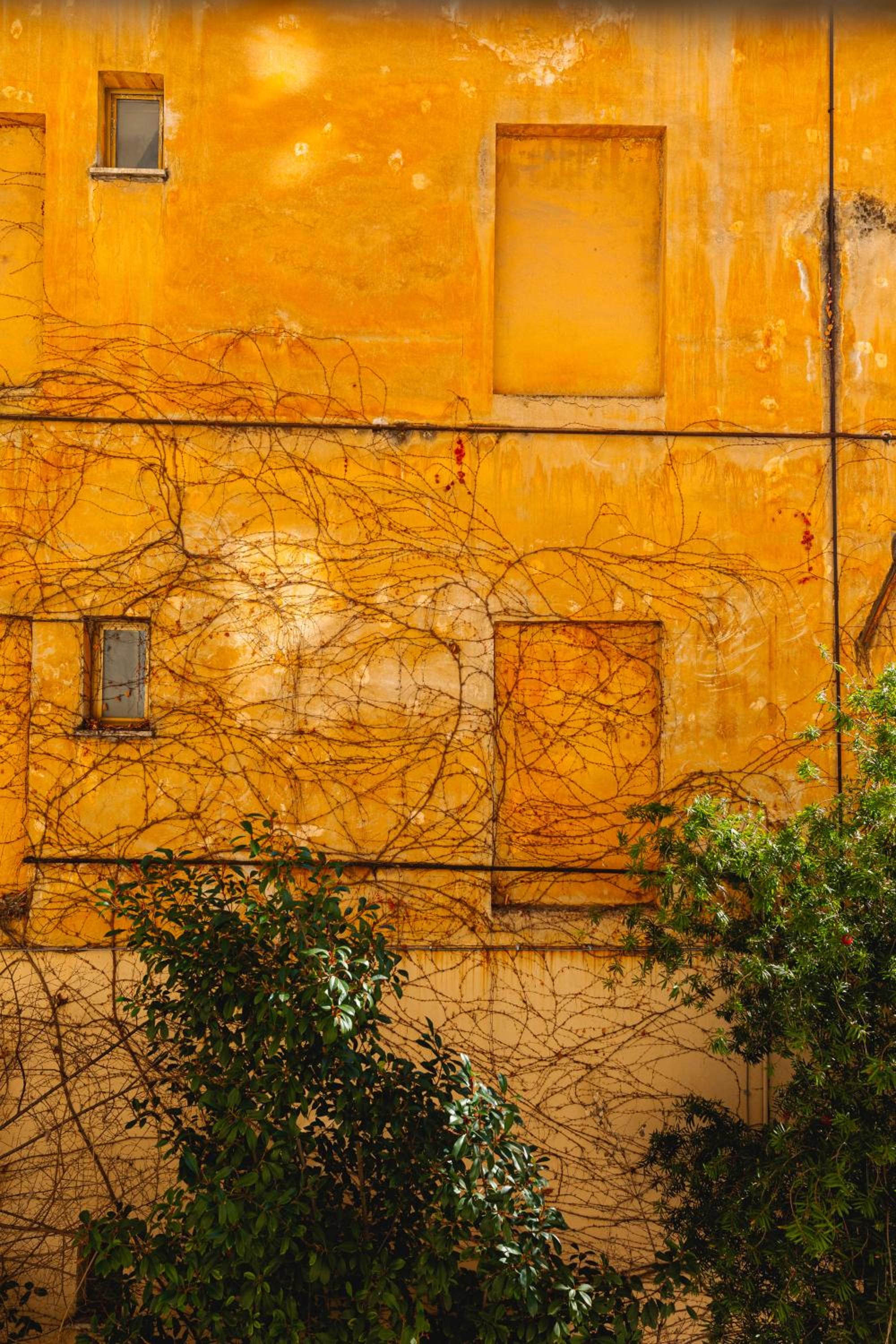 Domus Vaticana