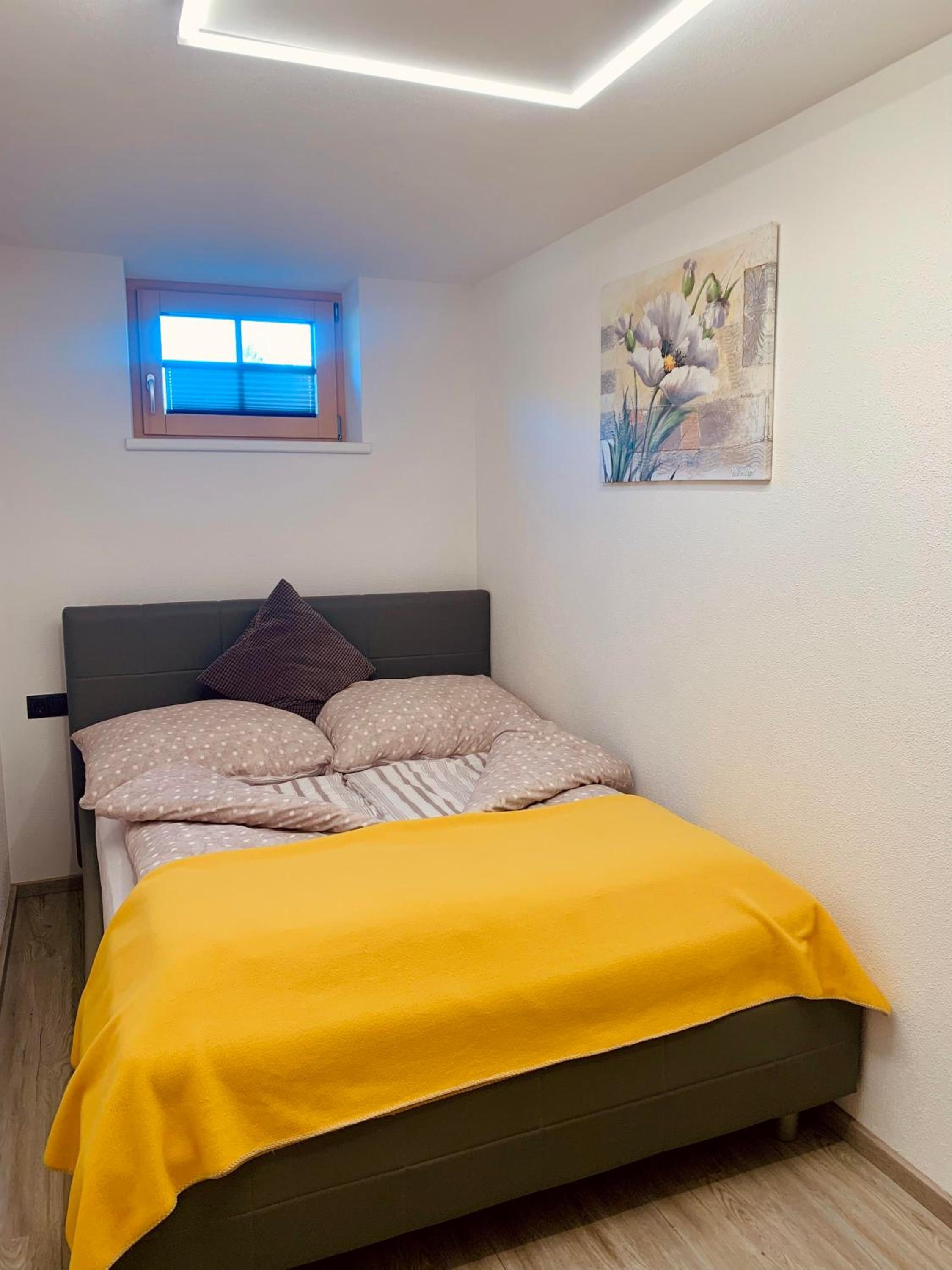 Apartment Silberwald