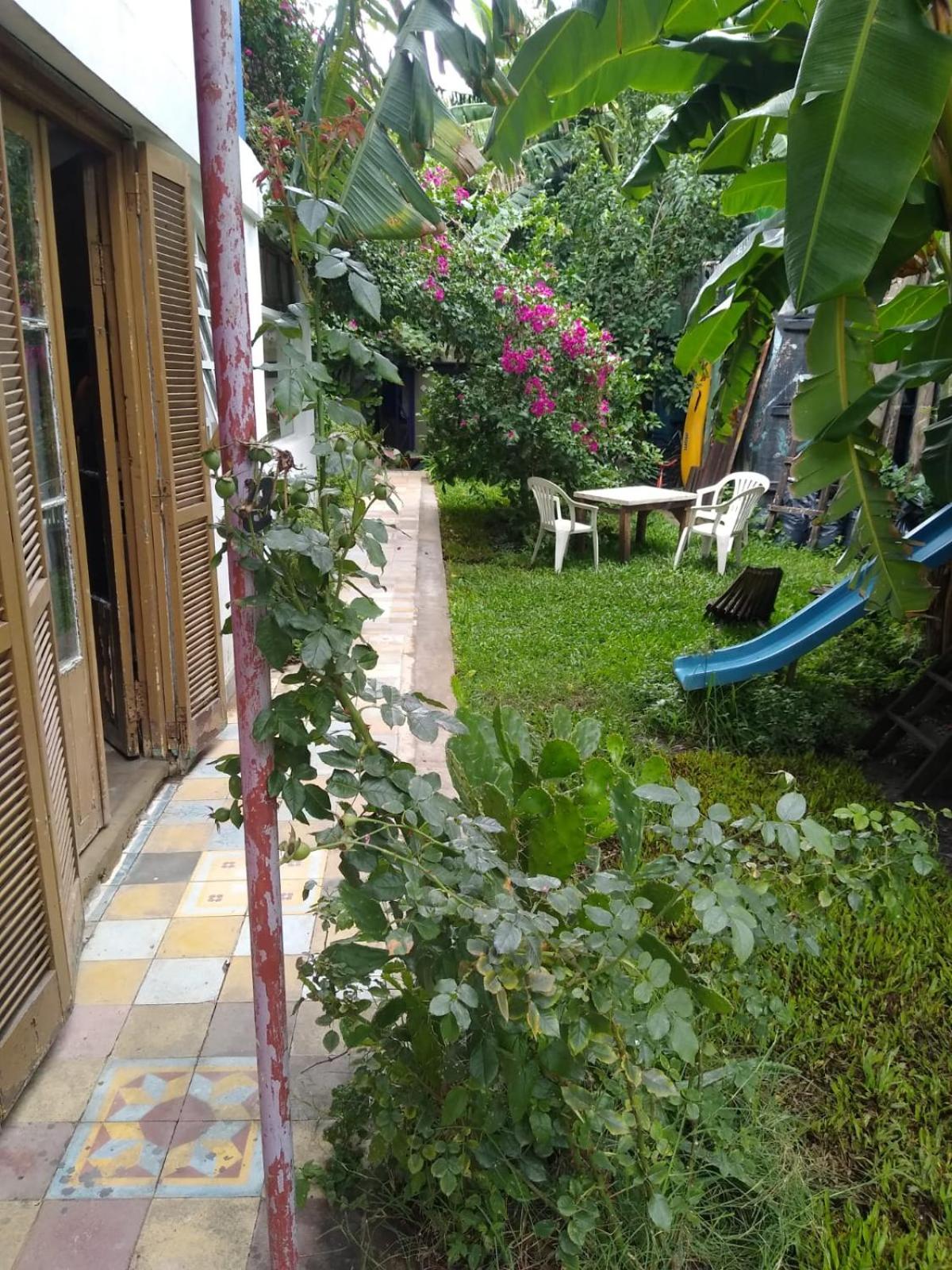 Nido, Los Colibríes VI