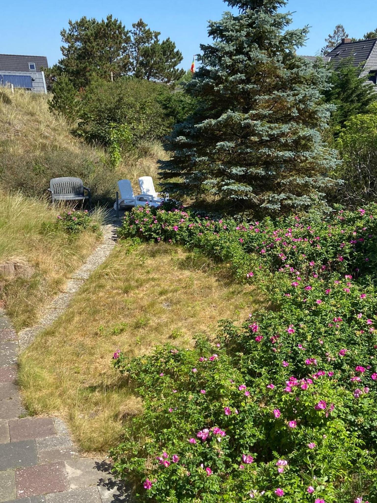 Photo 21