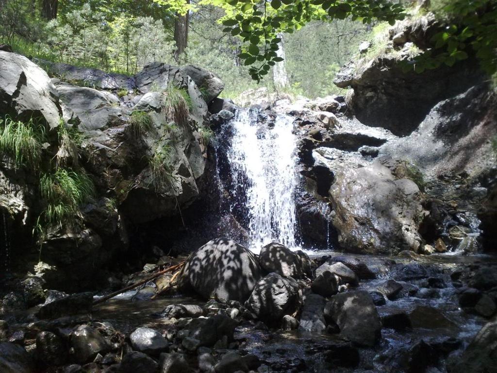 Photo 9