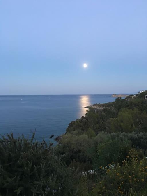 Villa Nafsika stunning view on the Aegean Sea