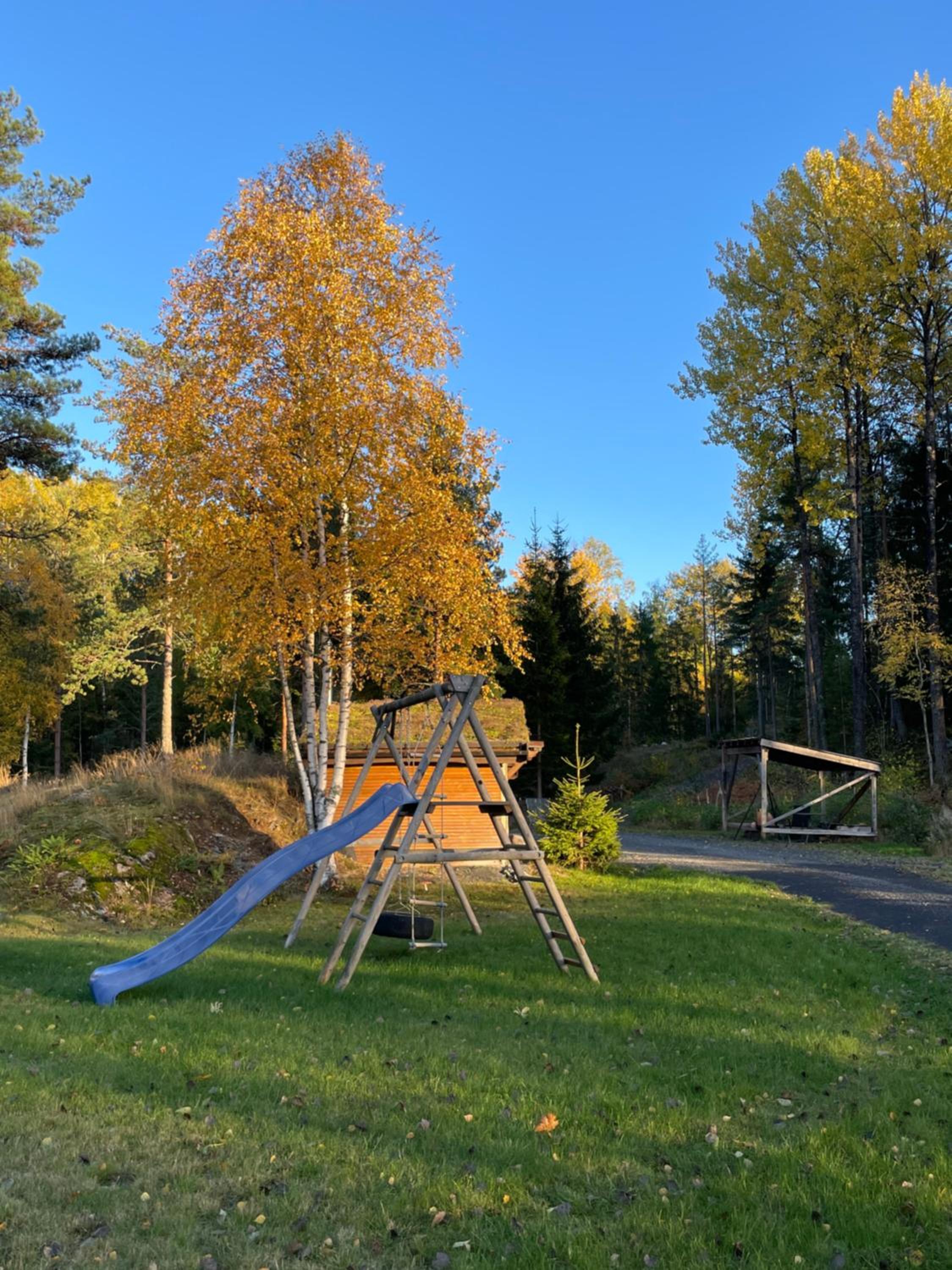 Photo 25