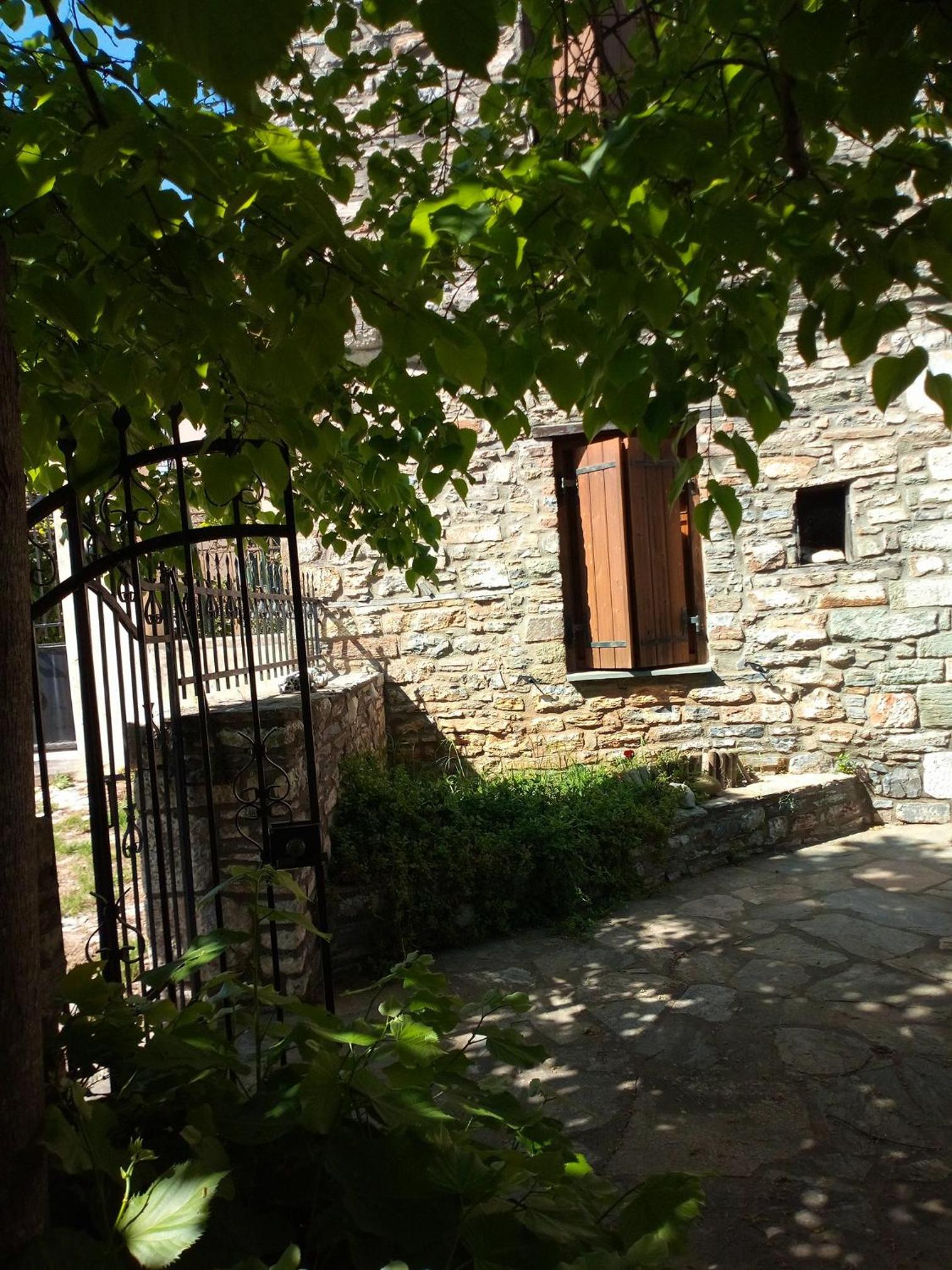 Photo 19