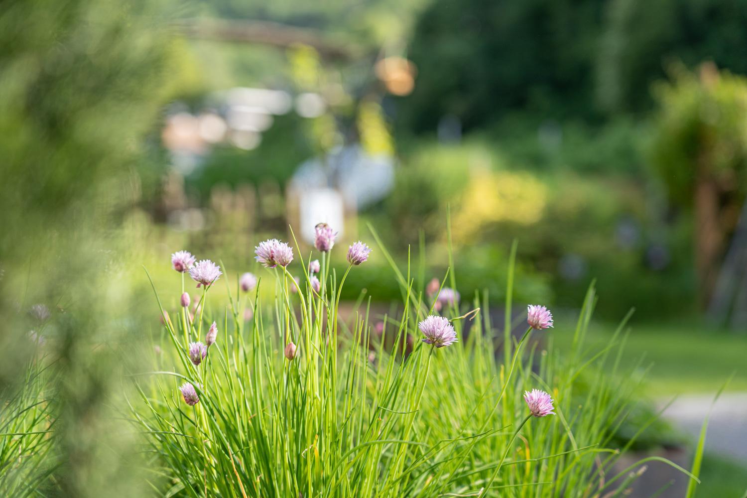 Kreuzwegerhof Nals - Historic Nature Stay with Pool near Meran & Bozen