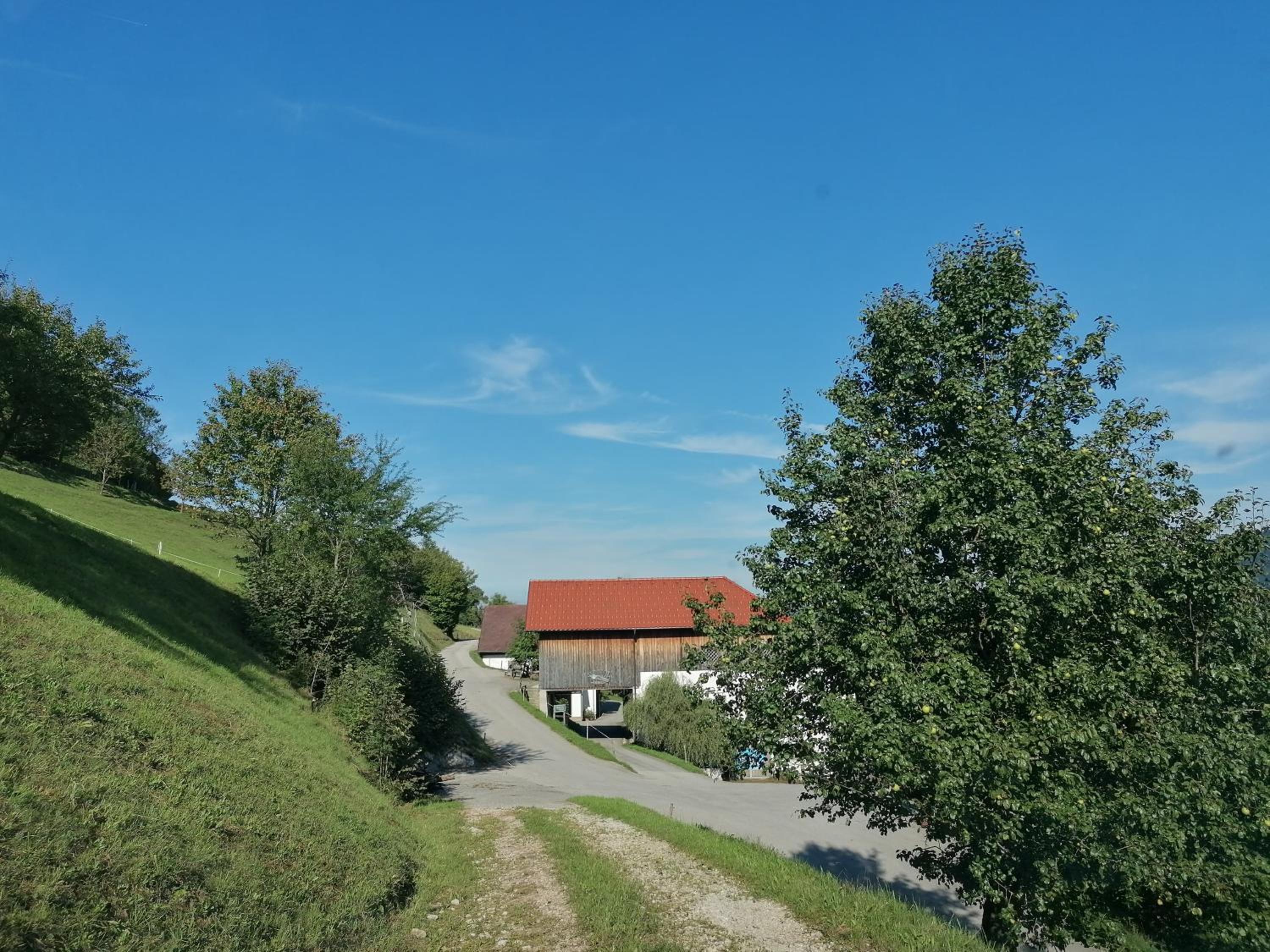 Photo 60