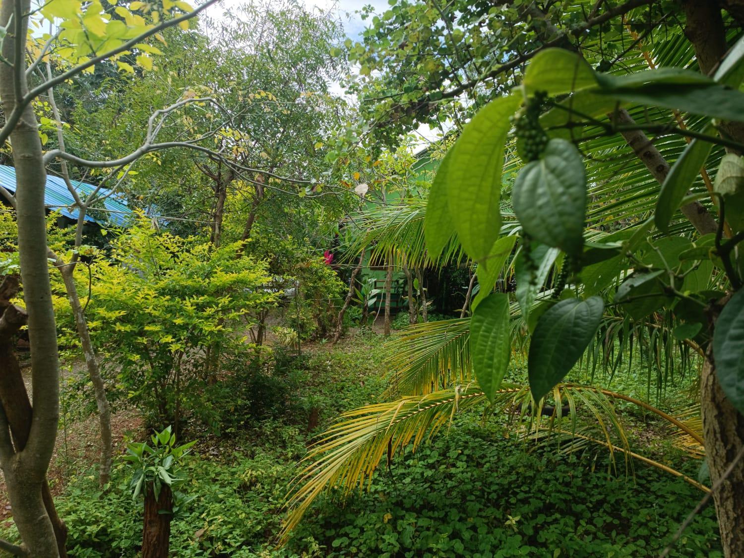 Photo 27