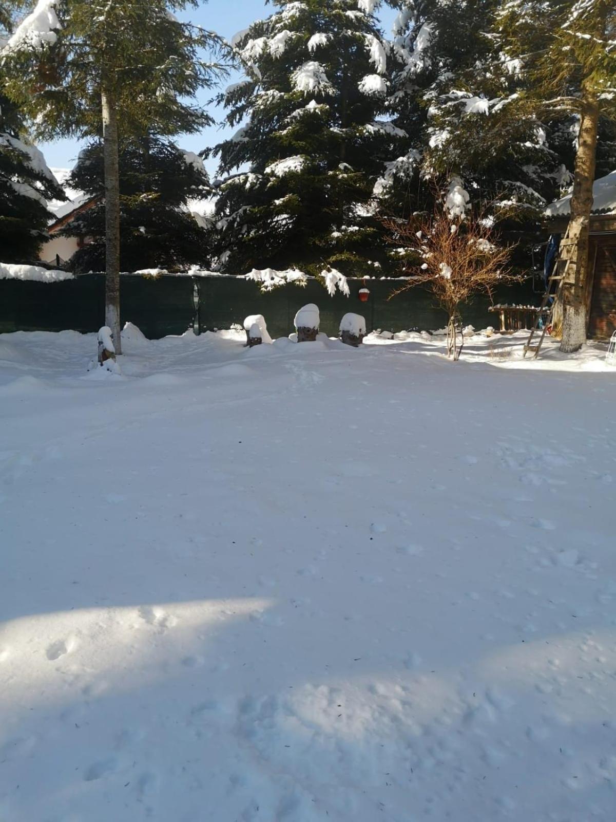 Cabana din Poveste Valea Doftanei