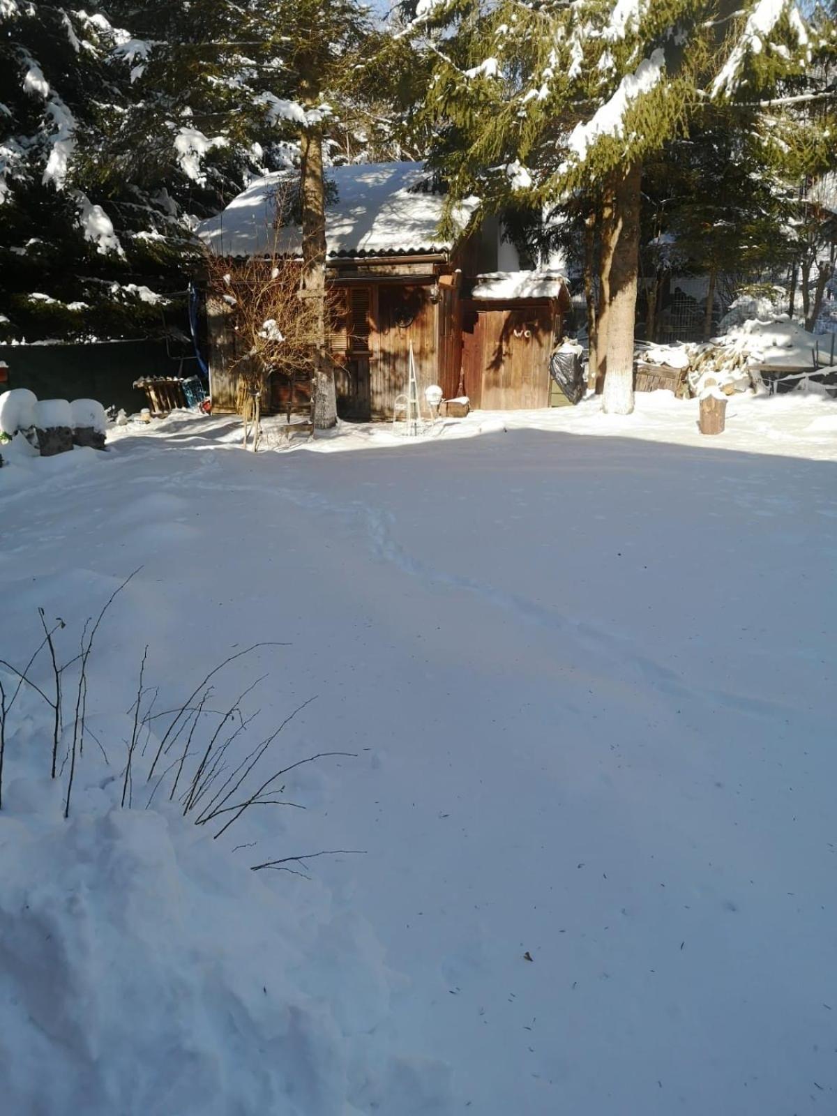 Cabana din Poveste Valea Doftanei