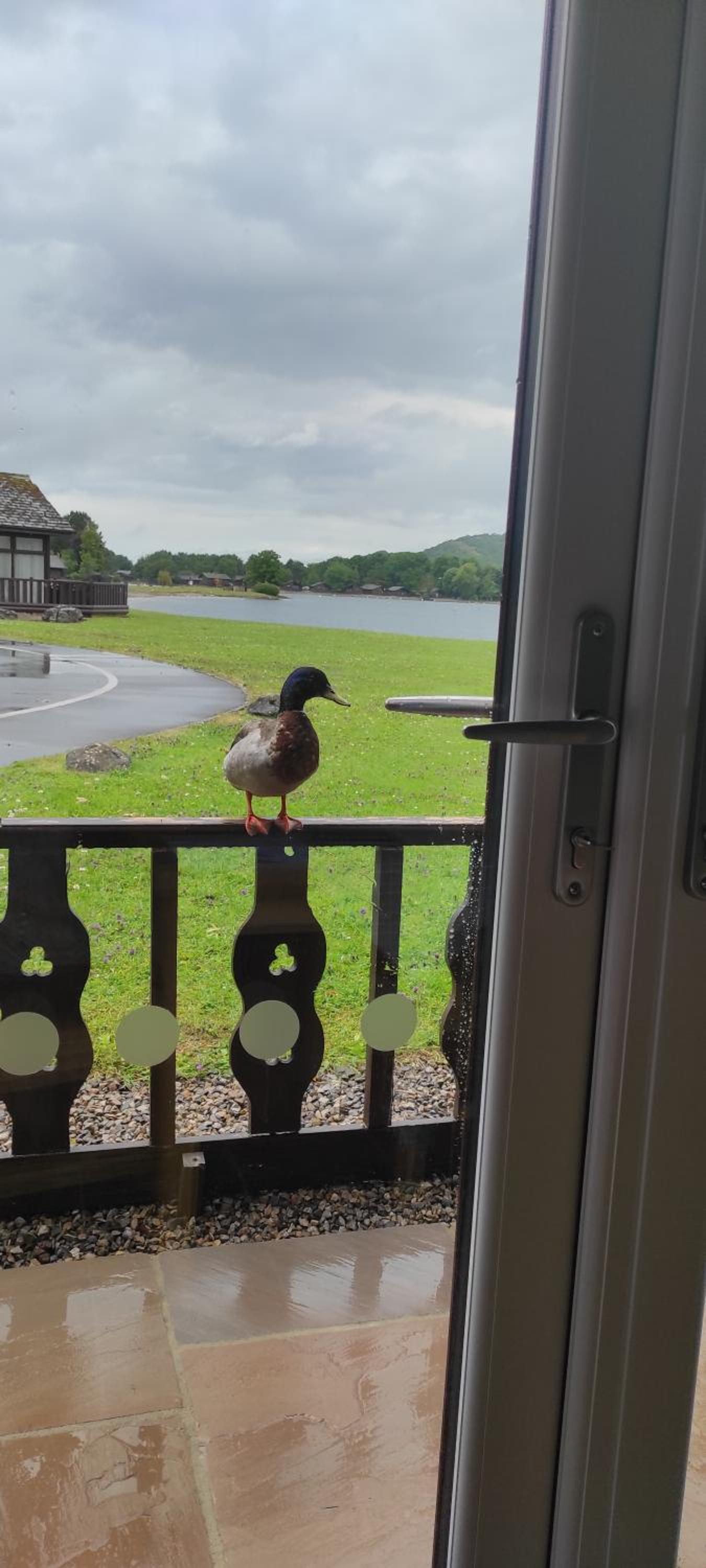 Photo 38