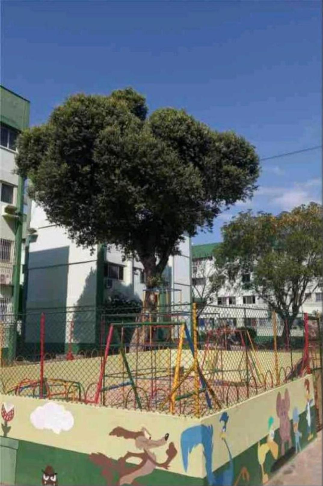 Verdes Mares