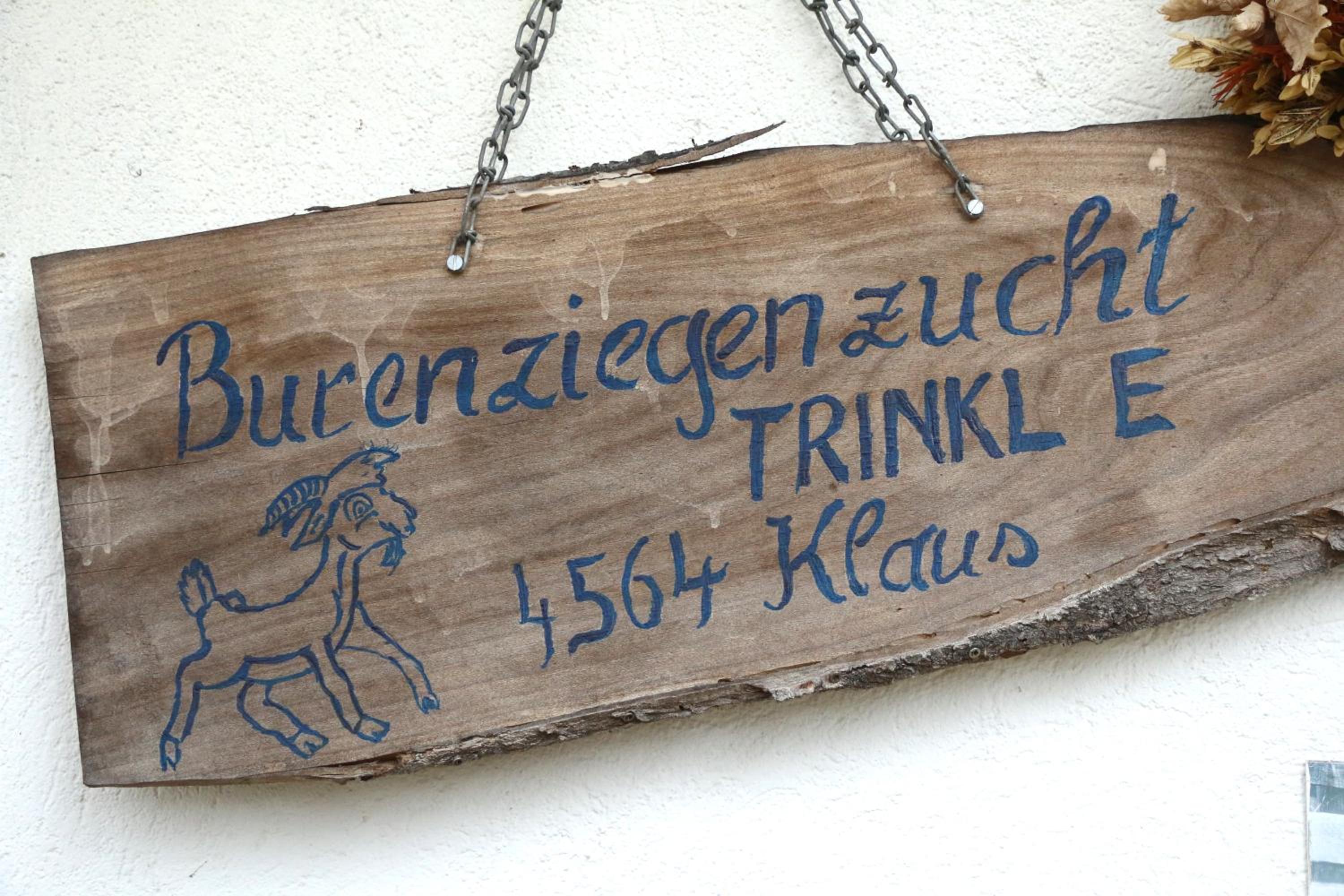 Hof zur Steinwänd