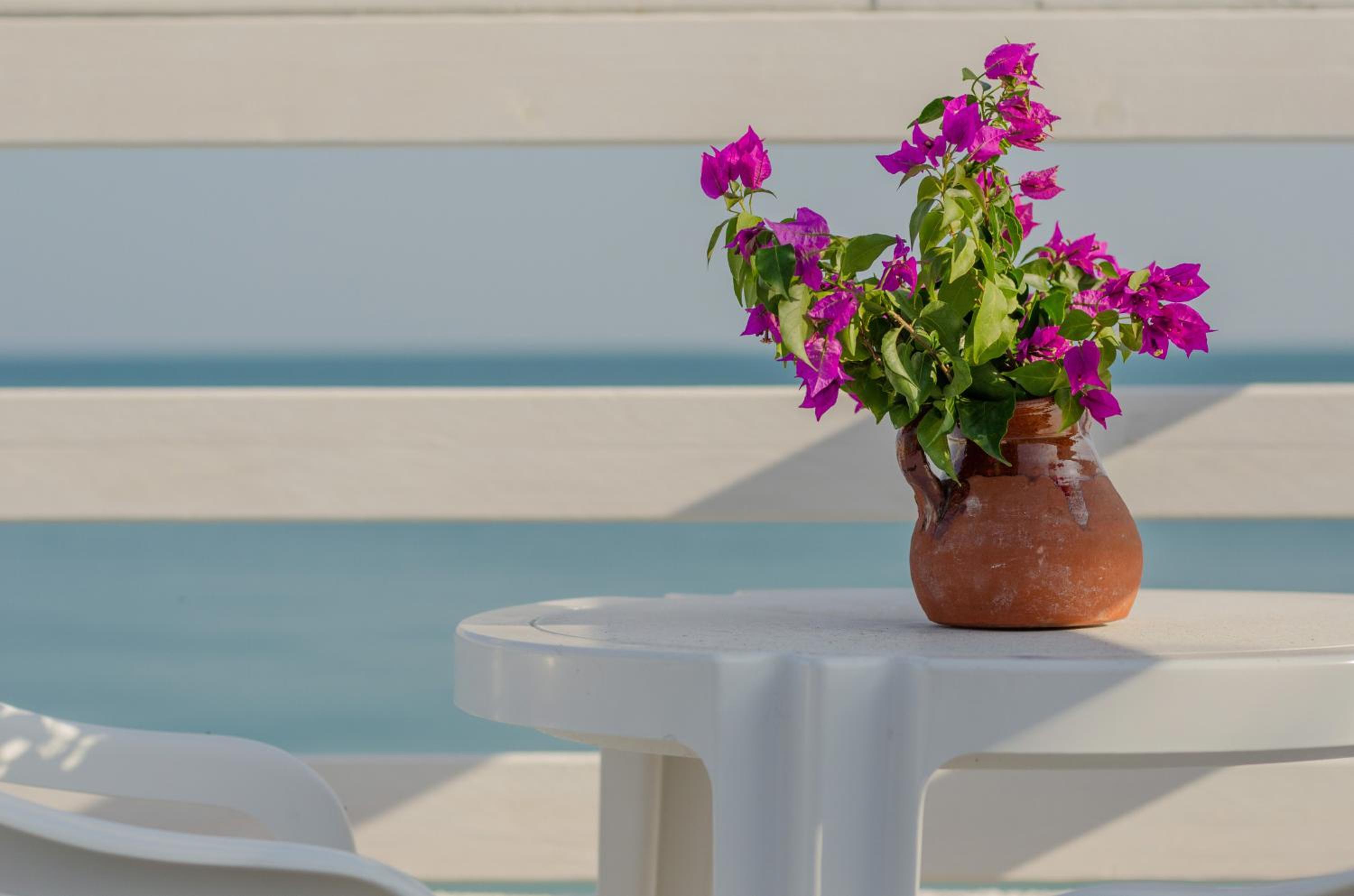Photo 62