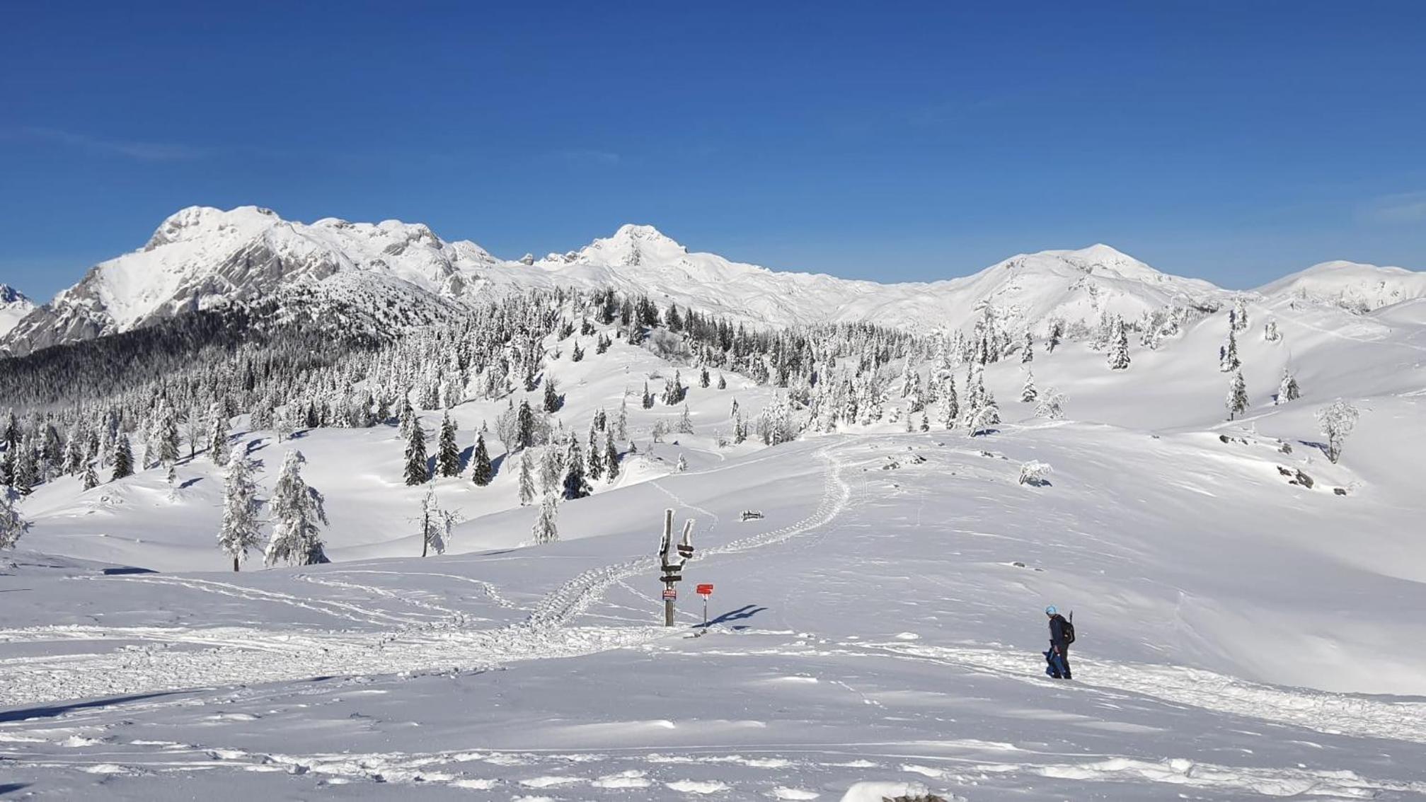Chalet Kanja Velika Planina view 4
