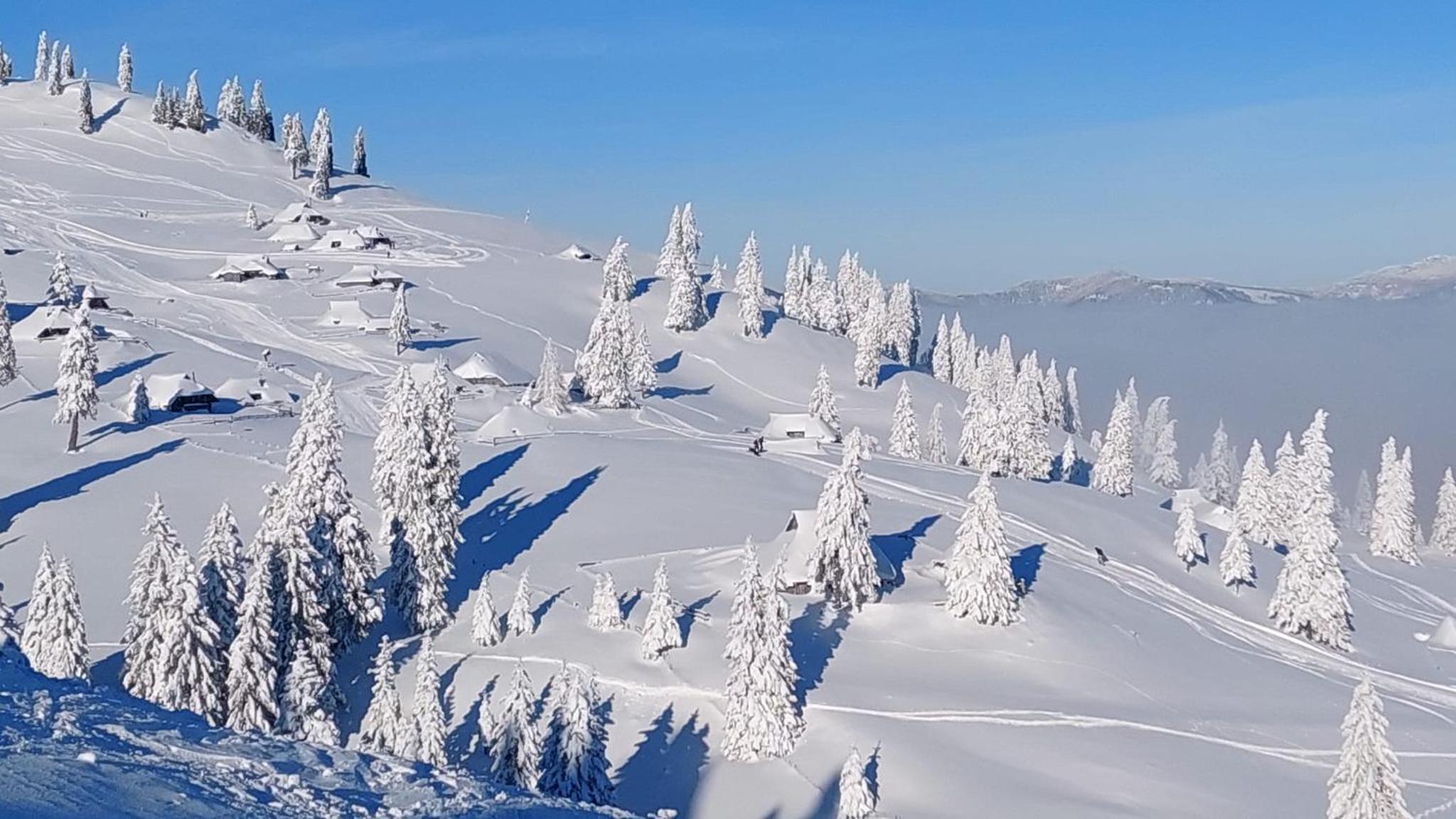 Chalet Kanja Velika Planina view 5