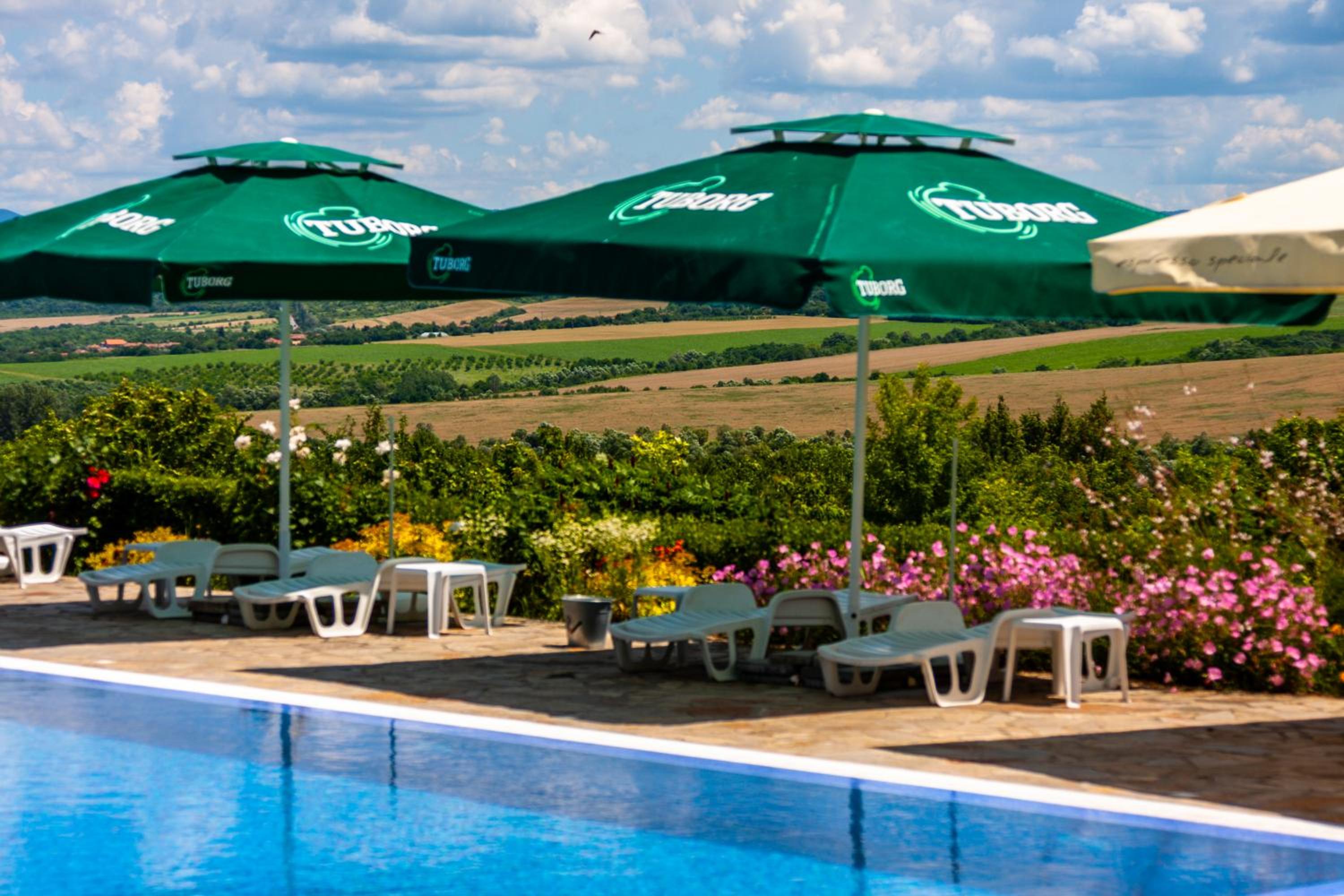 Camping Veliko Tarnovo