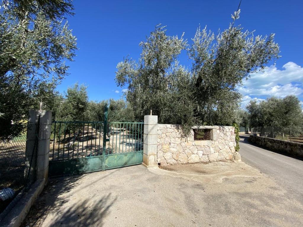Casa Ulivo