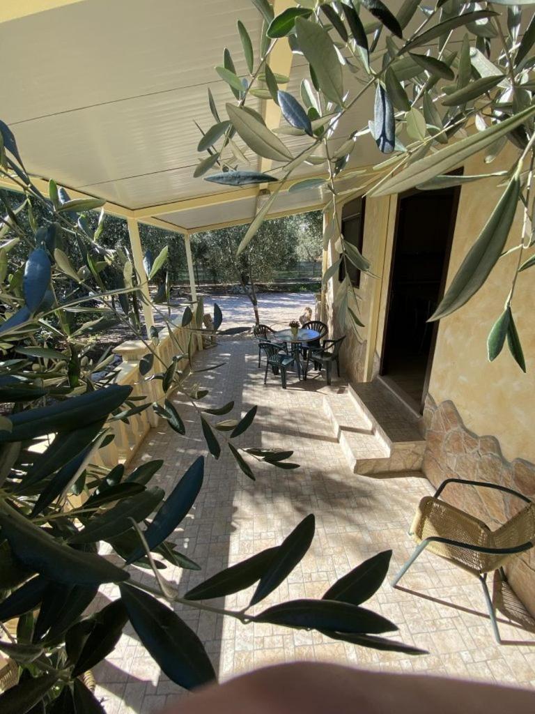 Casa Ulivo