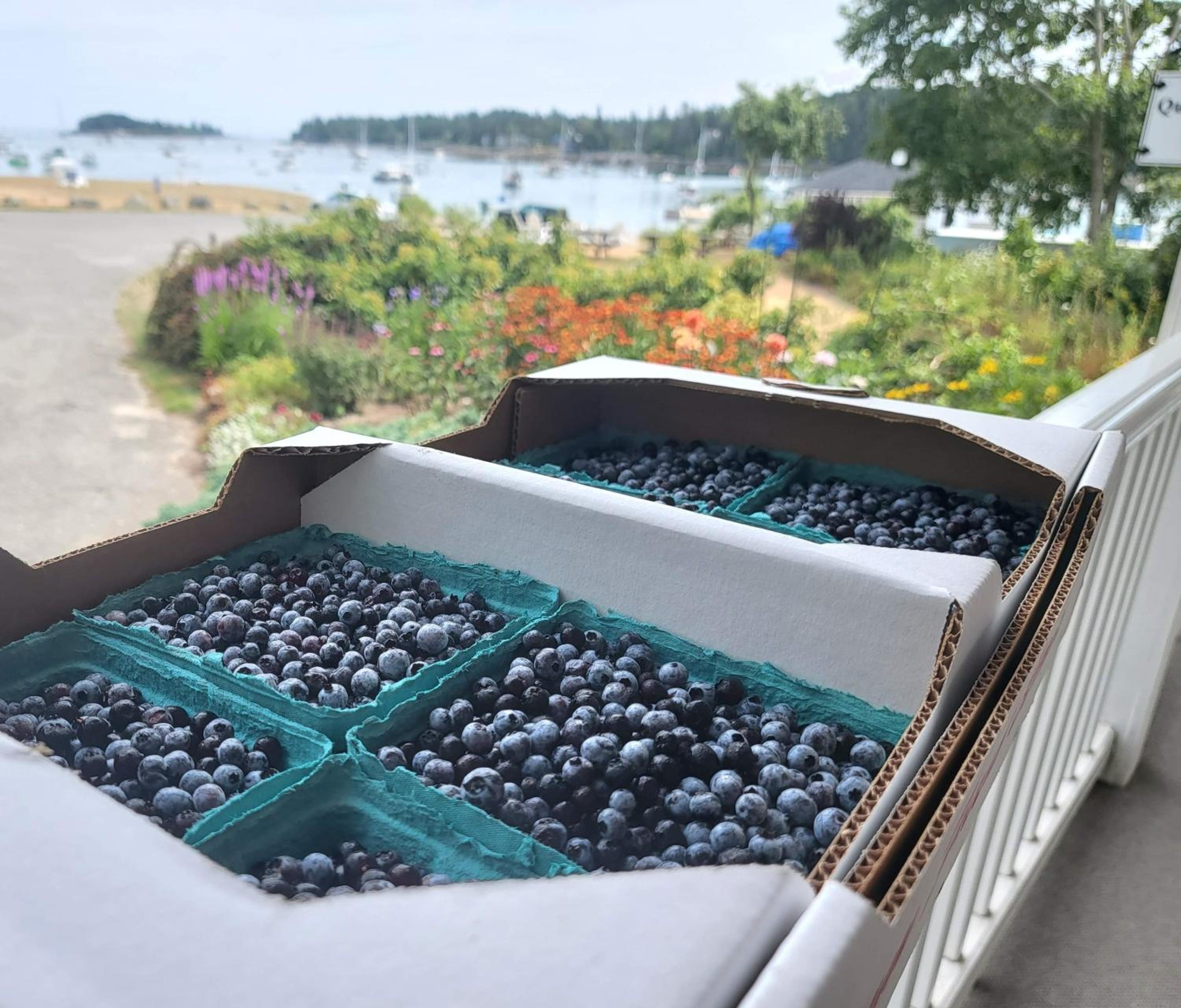East Wind Inn on the Water 148