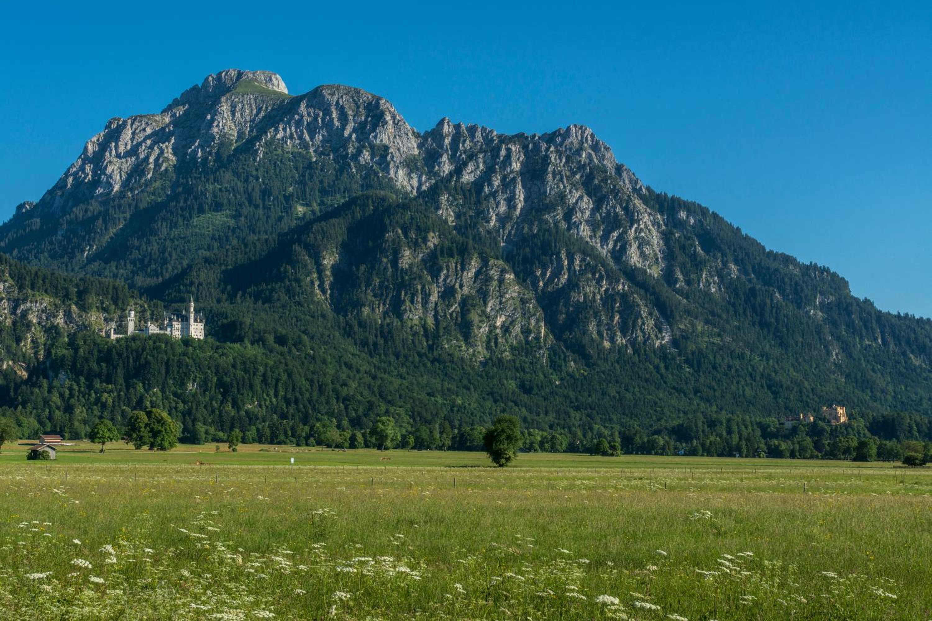 Ferienhaus Villa Alpenpanorama