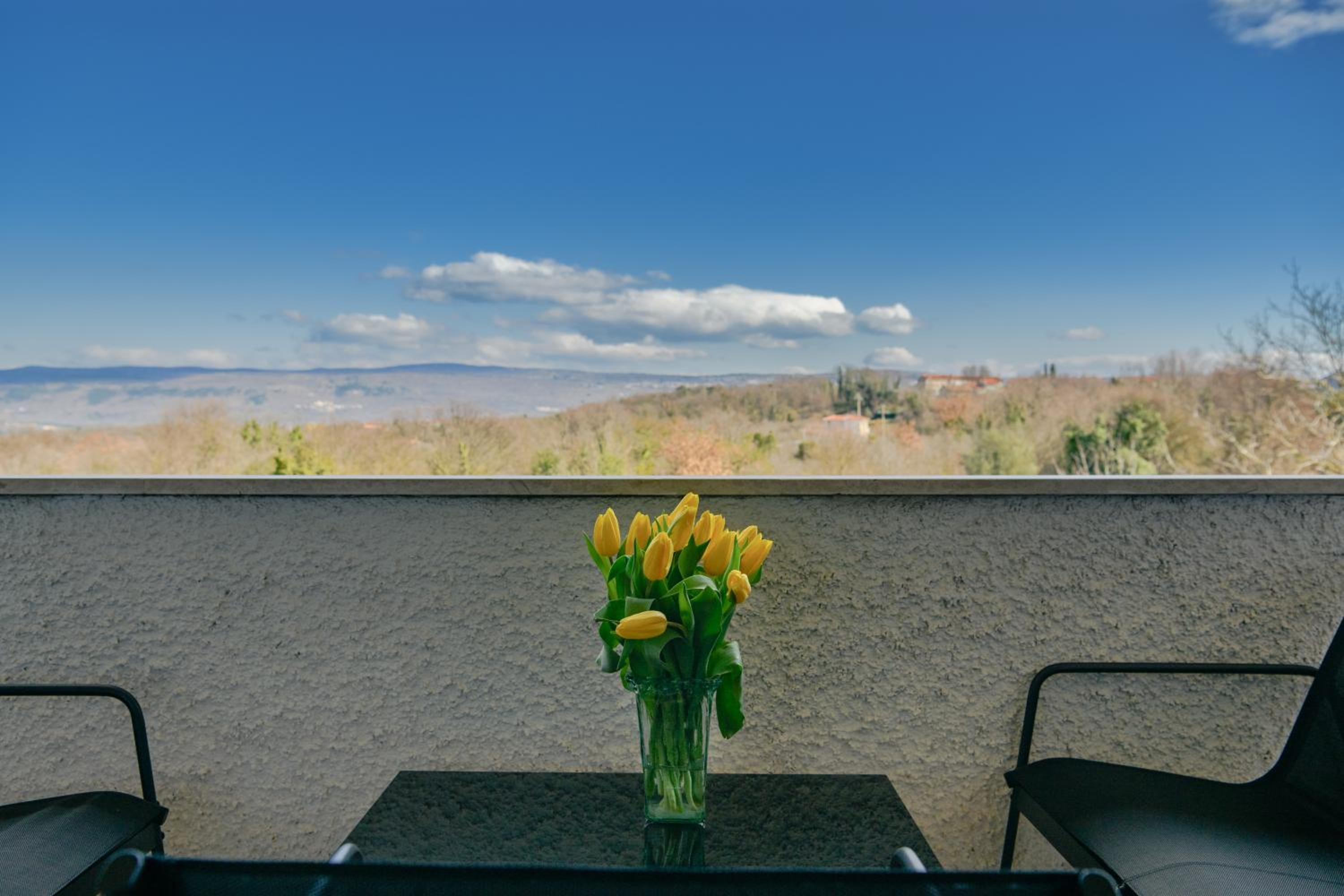 Apartman Noli view 2