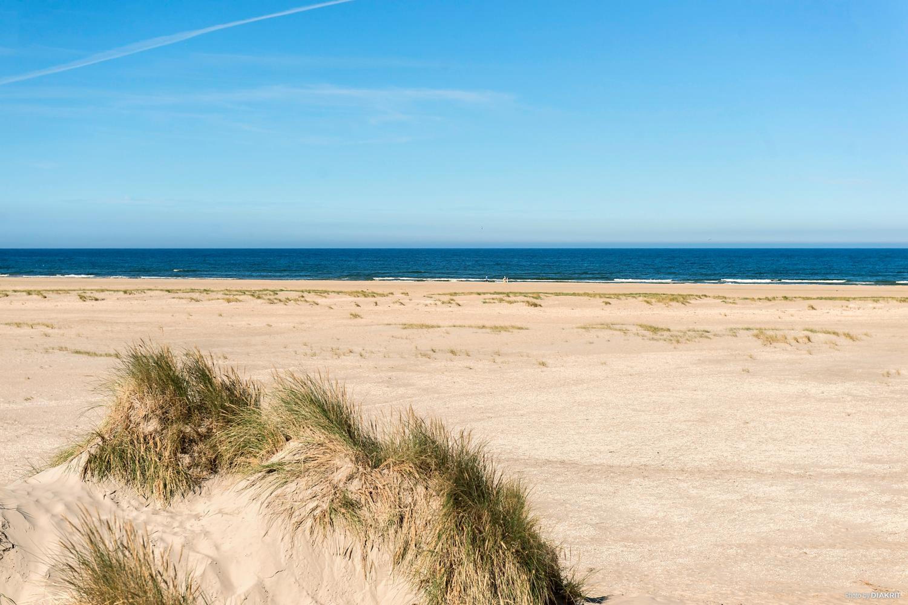 First Camp Lakolk Strand Camping