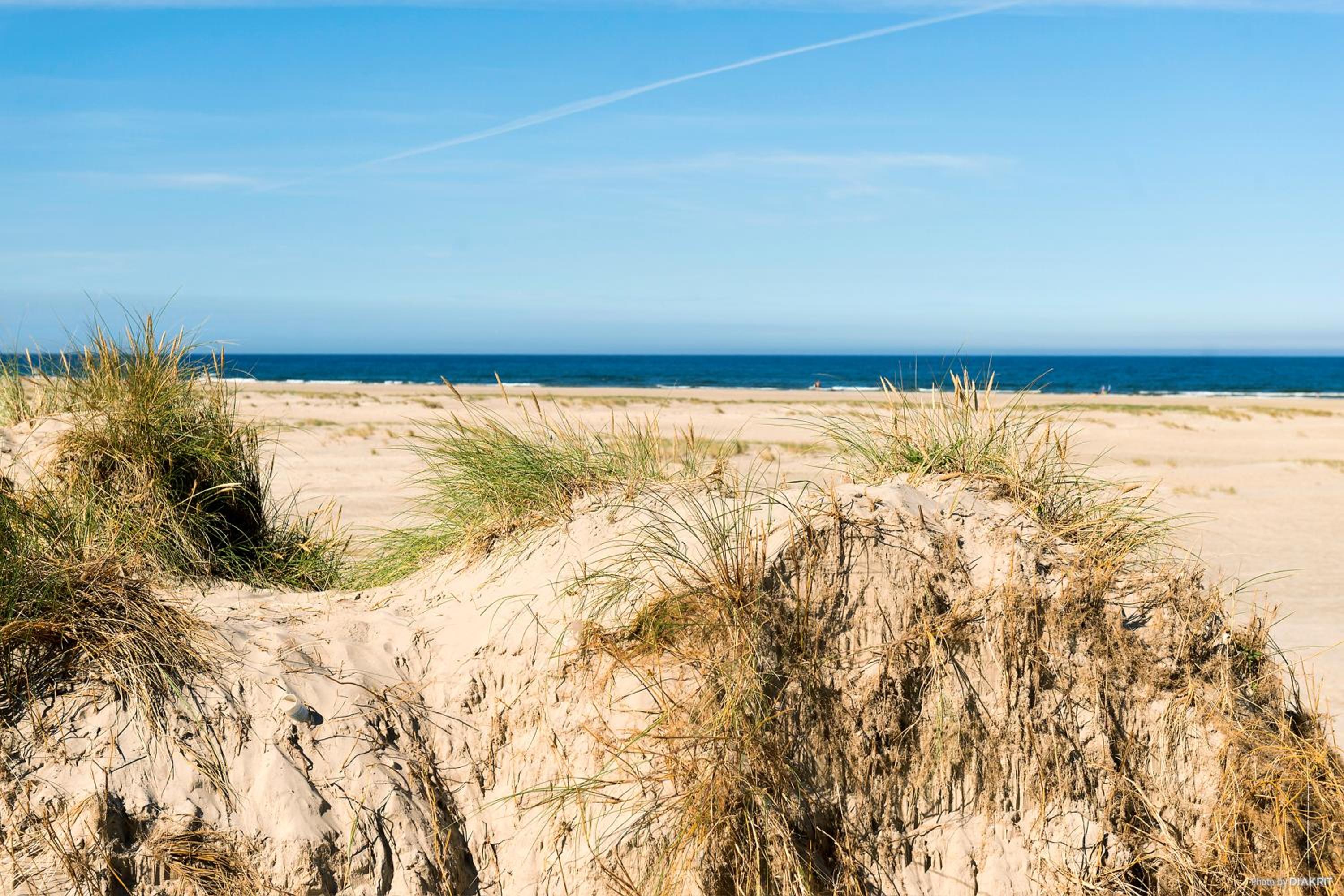 First Camp Lakolk Strand Camping