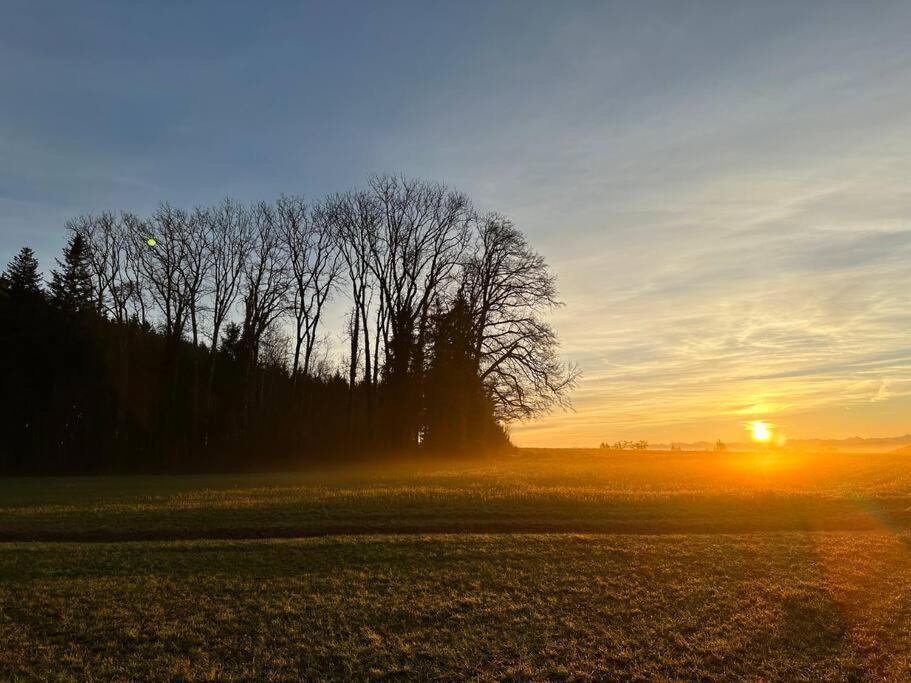 Ferienwohnung Weitblick