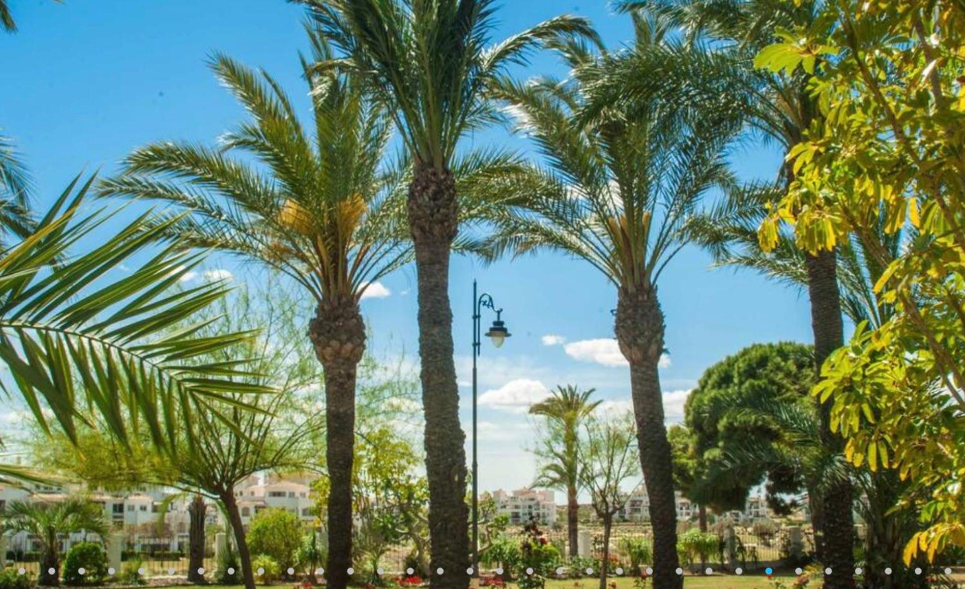 Hacienda Riquelme Golf Resort Ground Floor Apartment