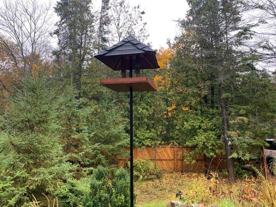 Modern Chic Cottage - Hot Tub, Sauna, Tay Trail
