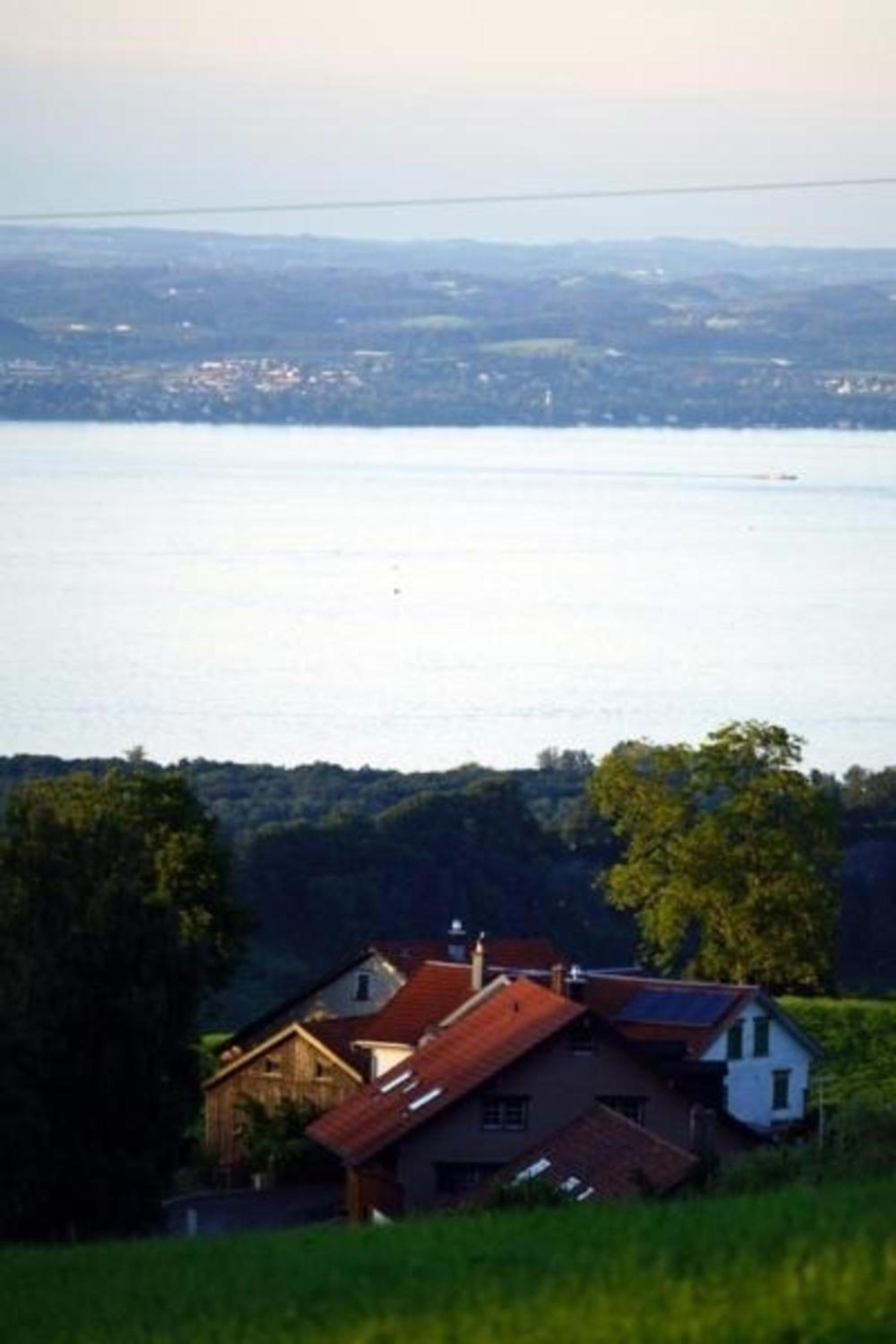 Ferien In Der Vogelherd, photo 16