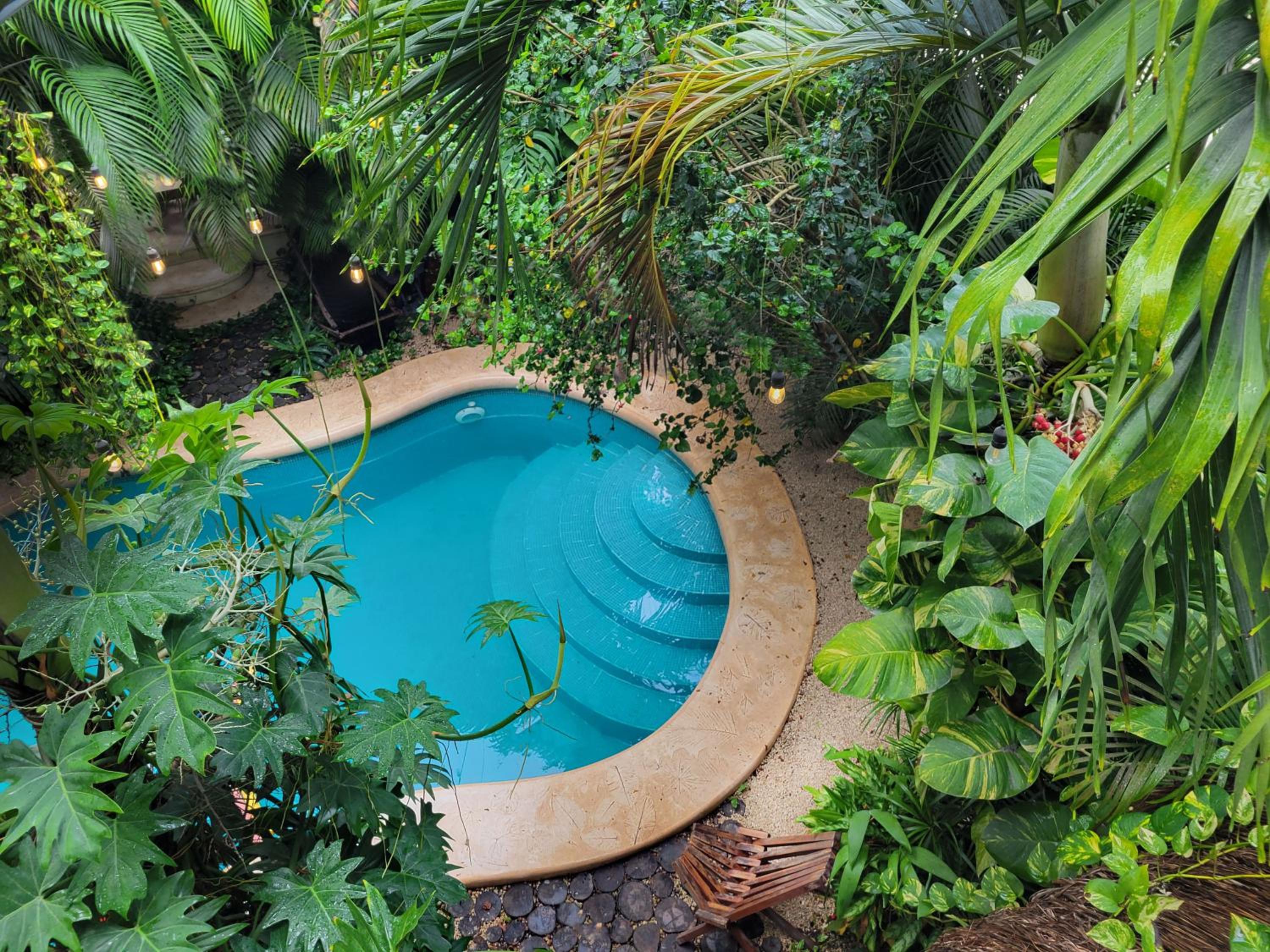The Secret Garden Tulum