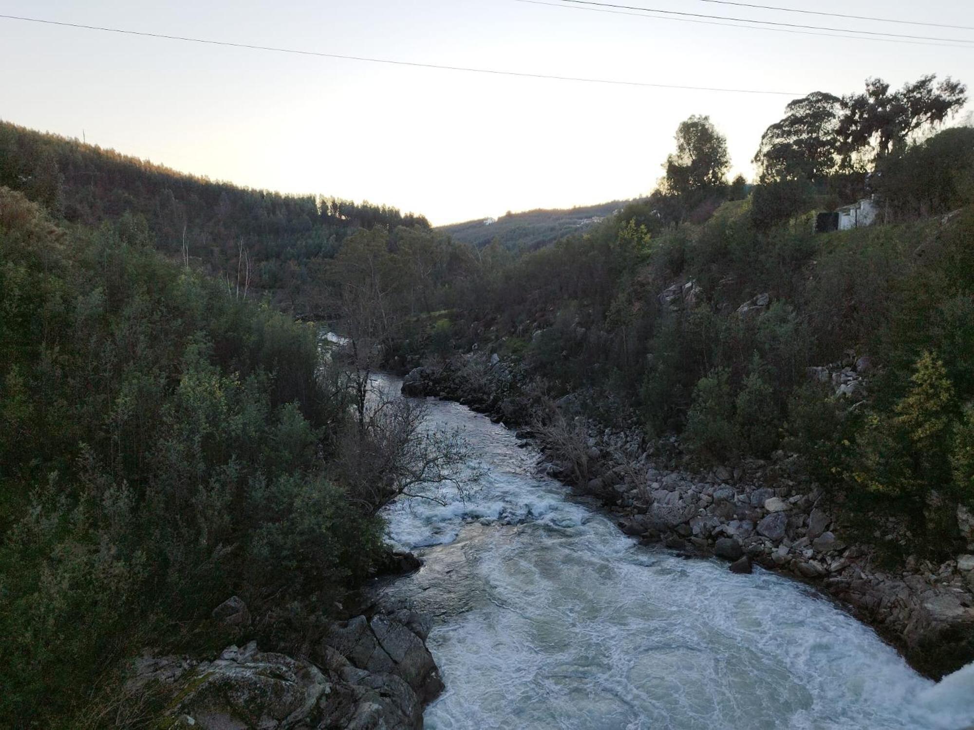 Photo 35
