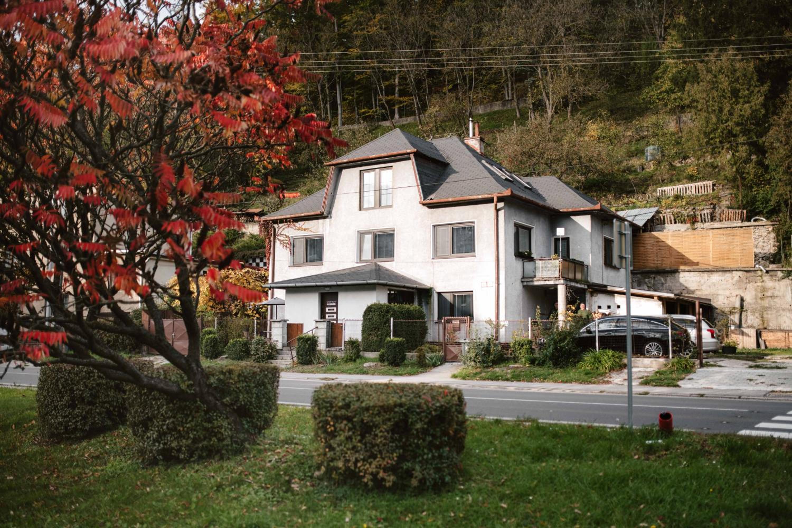 Photo 19