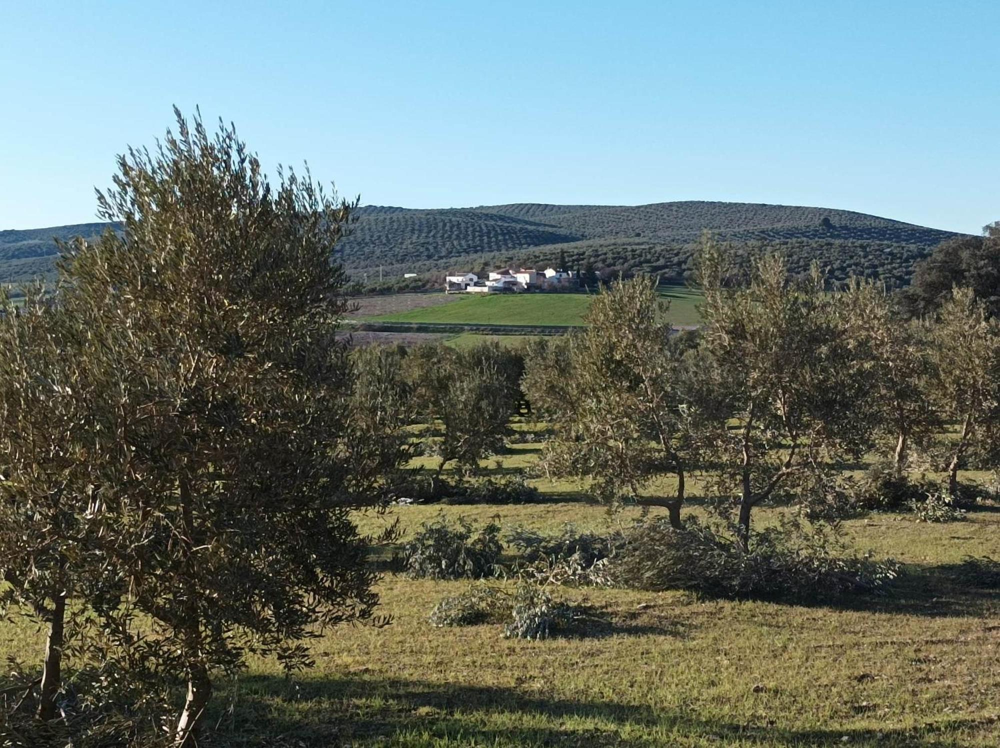 Casa Celeste Trabuco