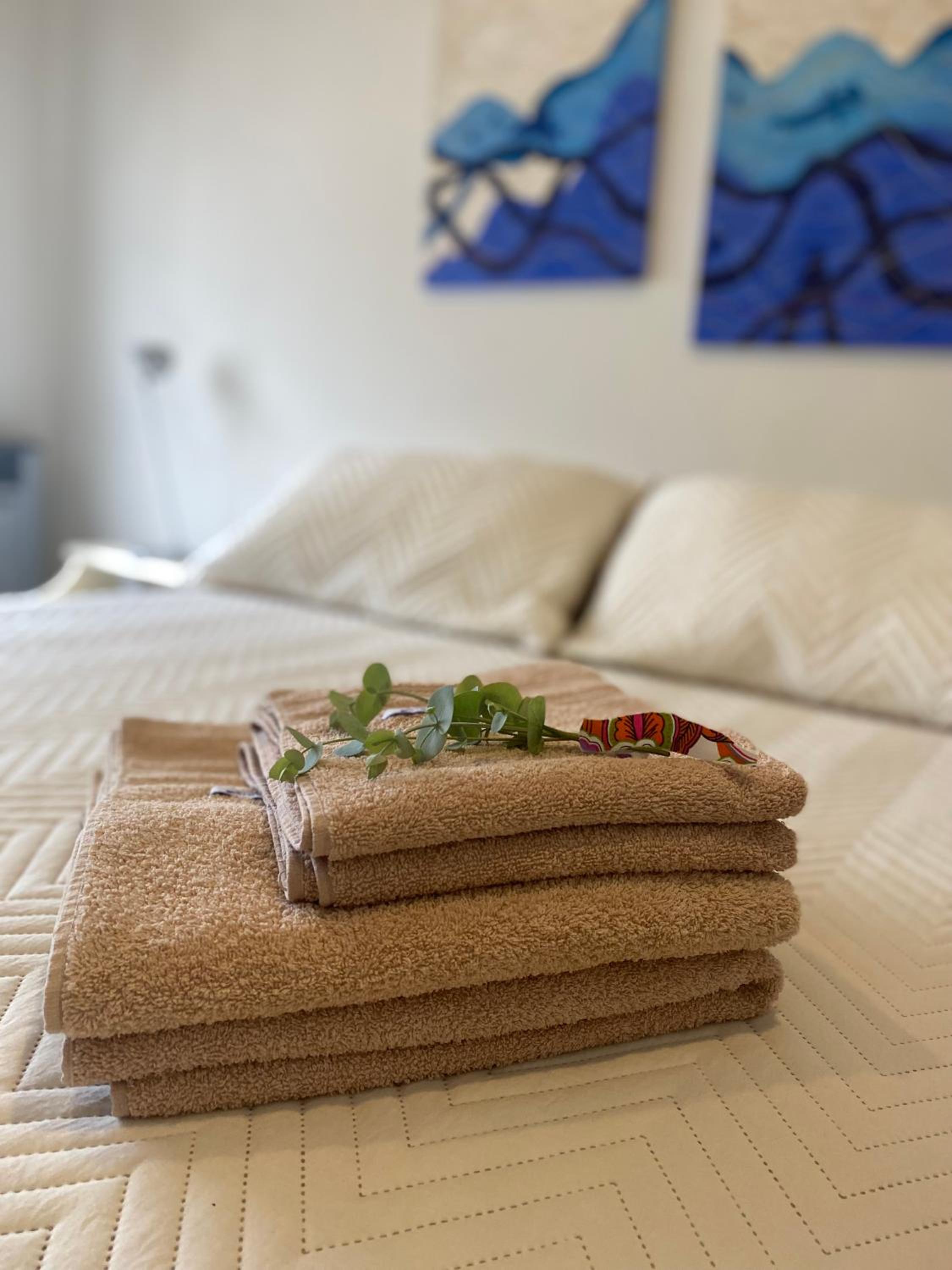 Apartamento Plaza Las Vertientes
