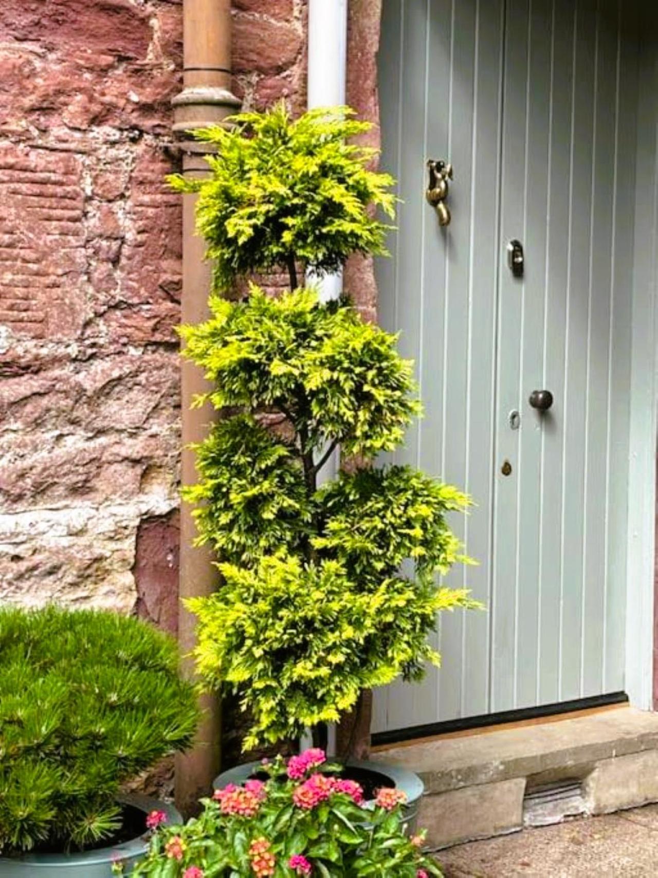 Reidochie Stables luxury haven overlooking garden