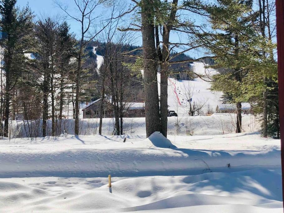 Attitash Mountain Village Studio - Slope View - Ski - Storyland view 2