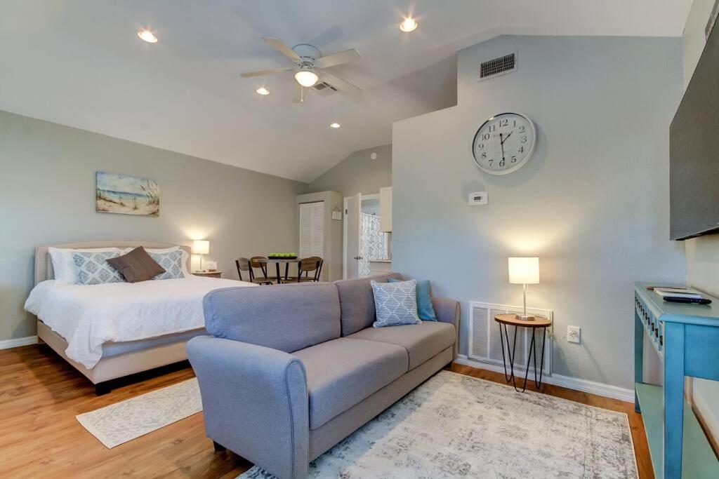 Beautiful Studio in Downtown Dunedin! view 2