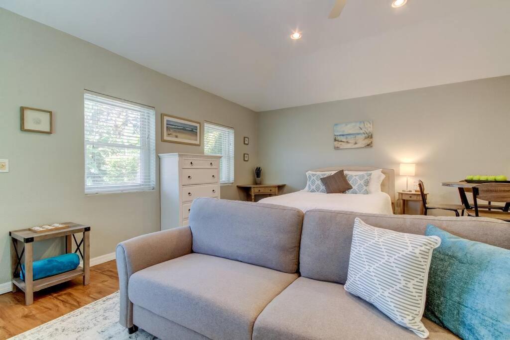 Beautiful Studio in Downtown Dunedin! view 3