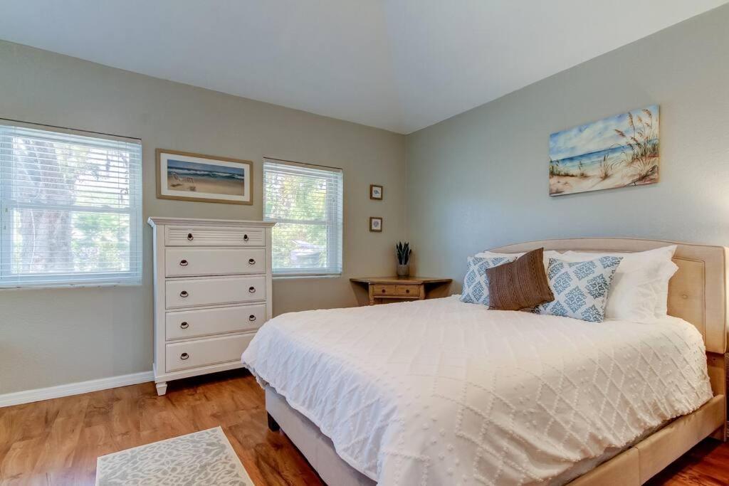 Beautiful Studio in Downtown Dunedin! view 4