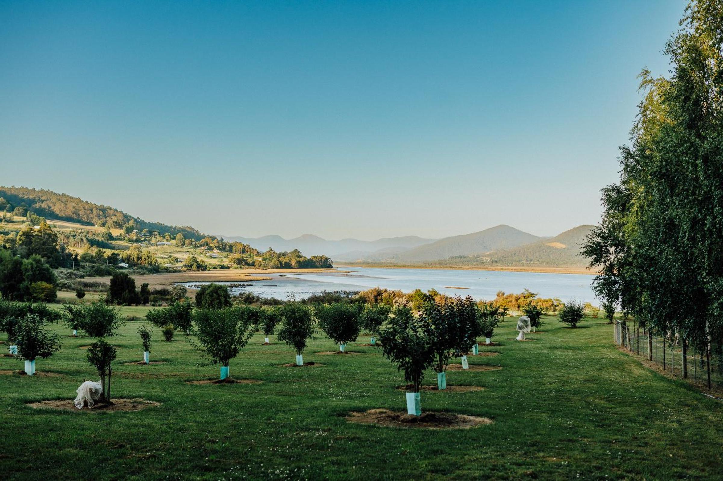 Fleurty's Point Cottage at Franklin South, Huon Valley, Tasmania