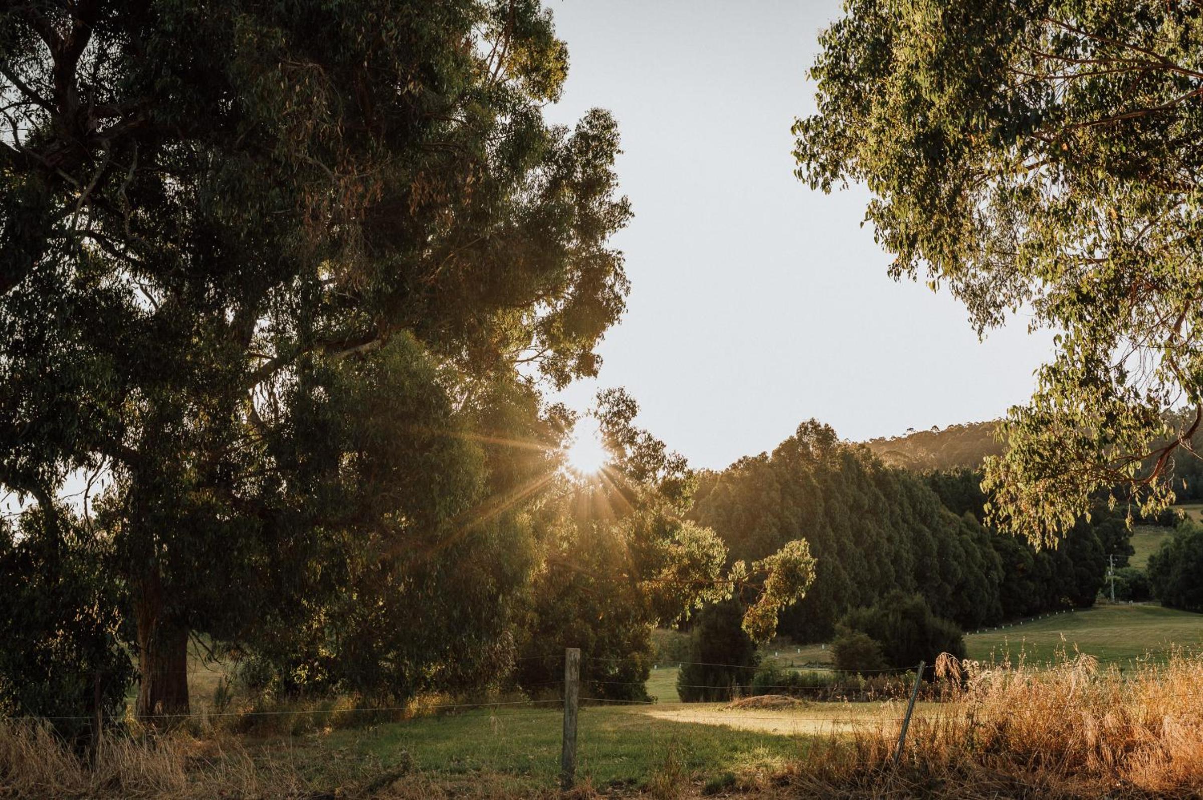 Fleurty's Point Cottage at Franklin South, Huon Valley, Tasmania