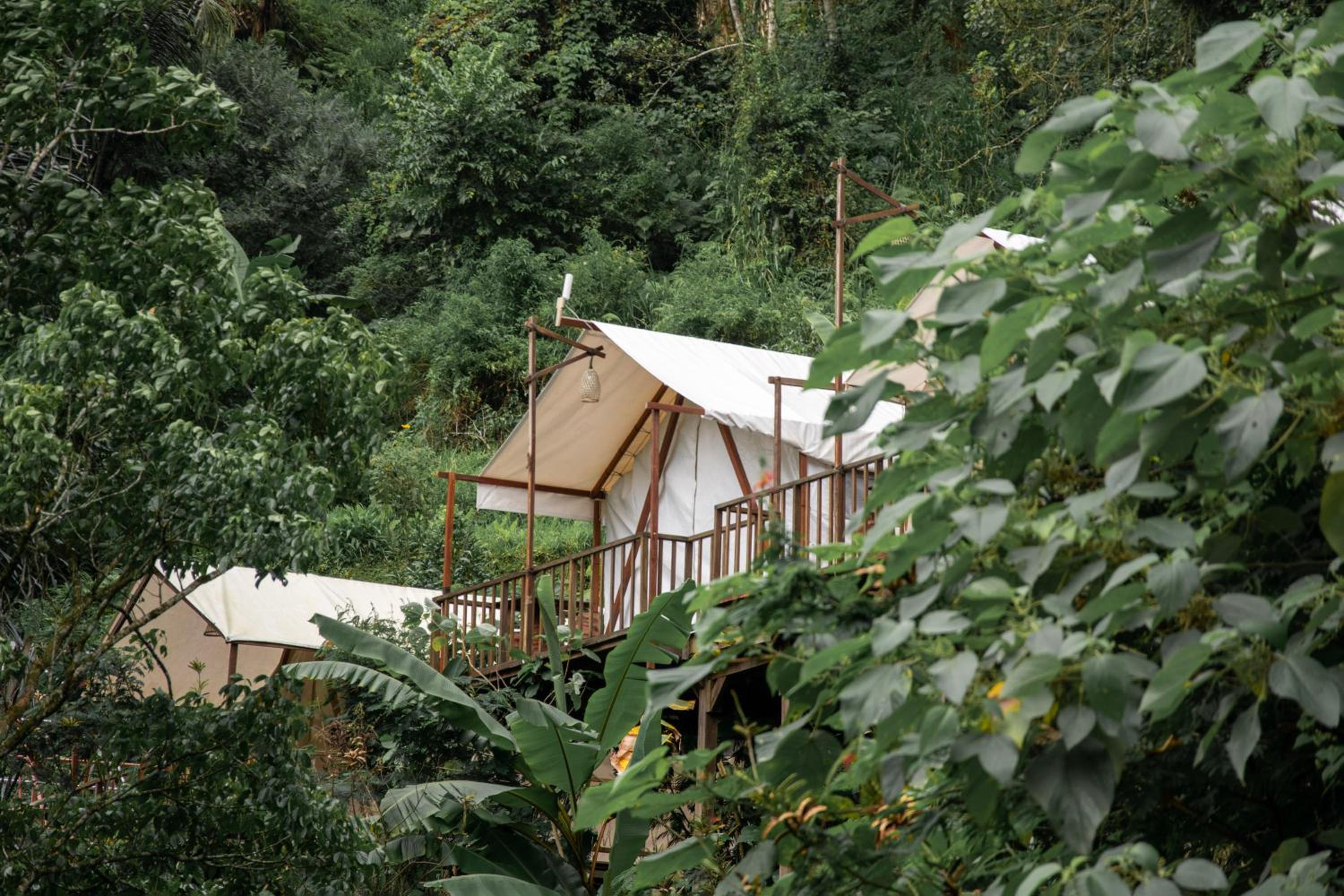 Glamping tent in Pelaga Eco Park