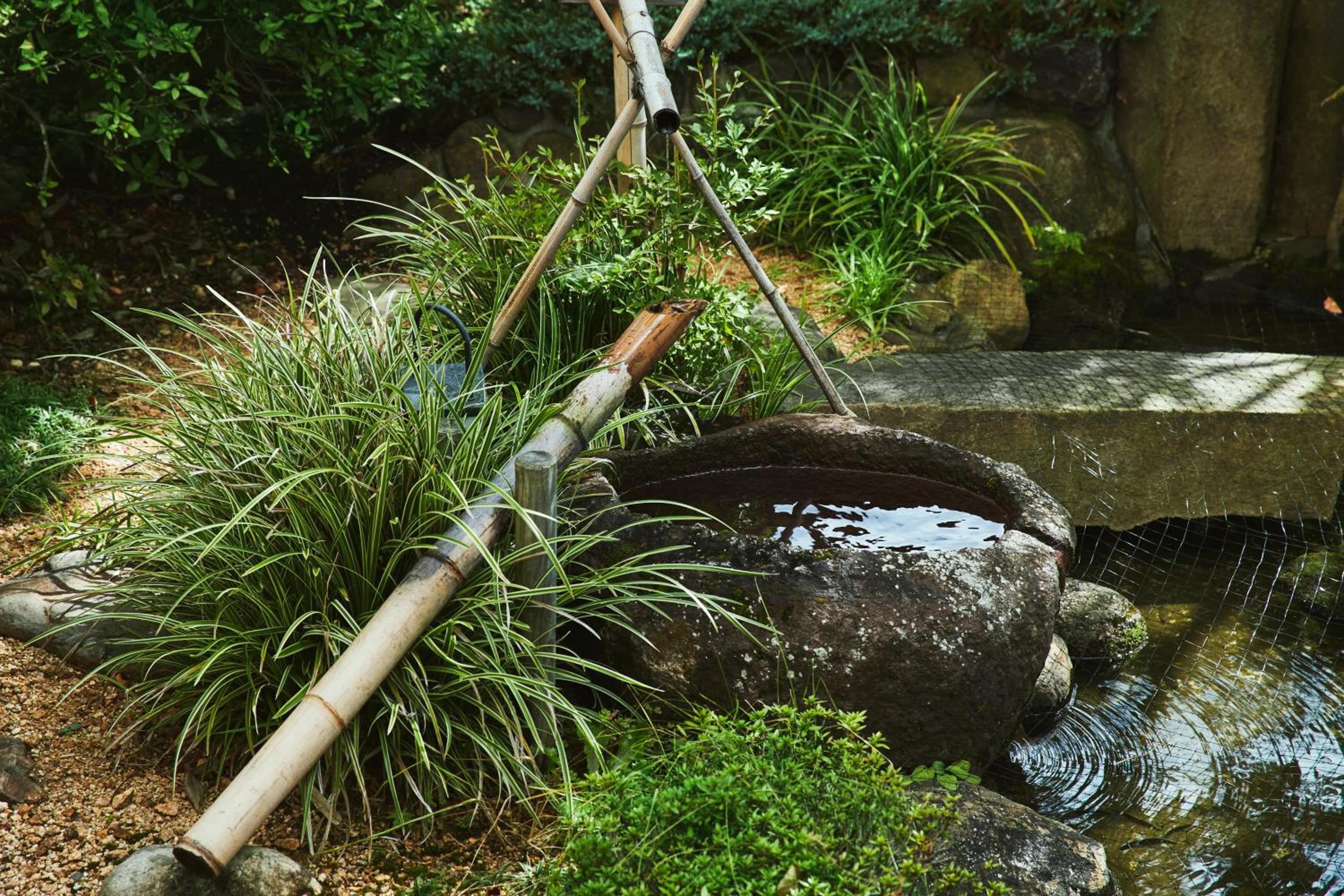 Sui Suwako