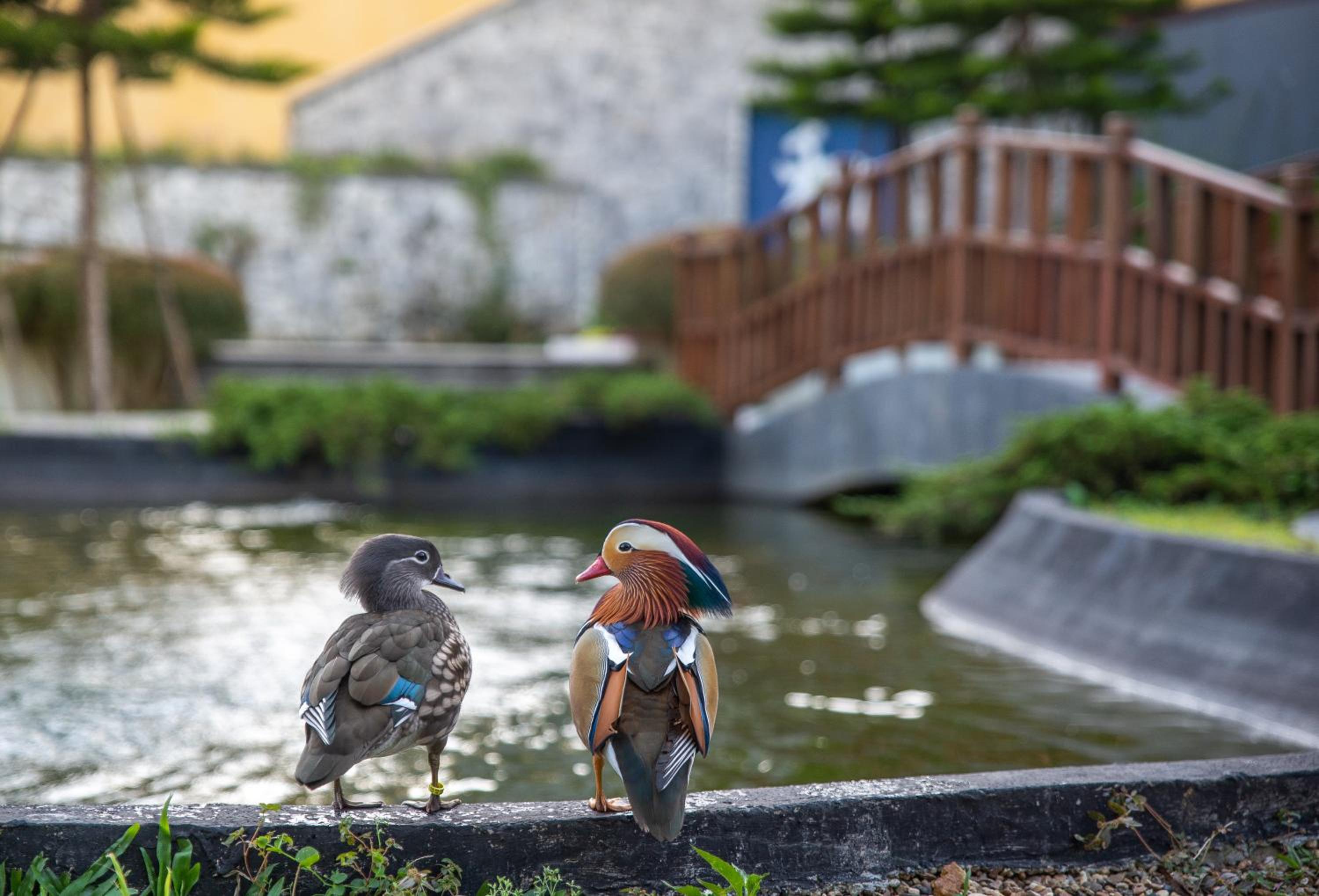 Onsen at Moncham