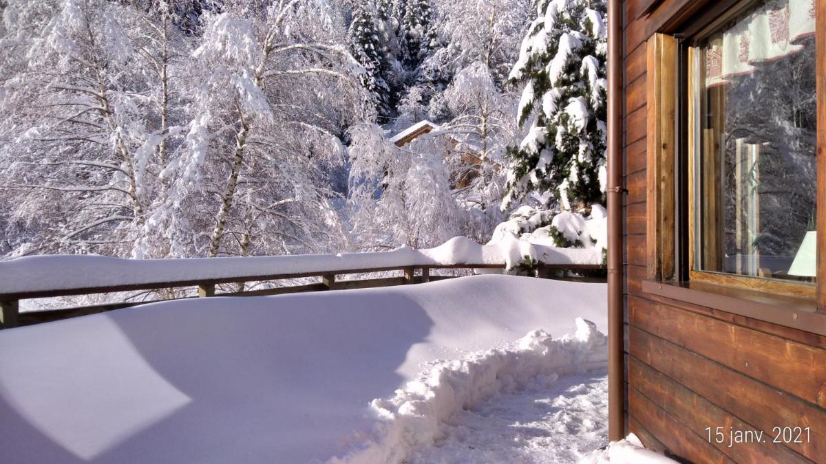 Le Chalet de Philippe view 3