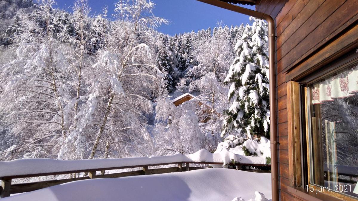 Le Chalet de Philippe view 4